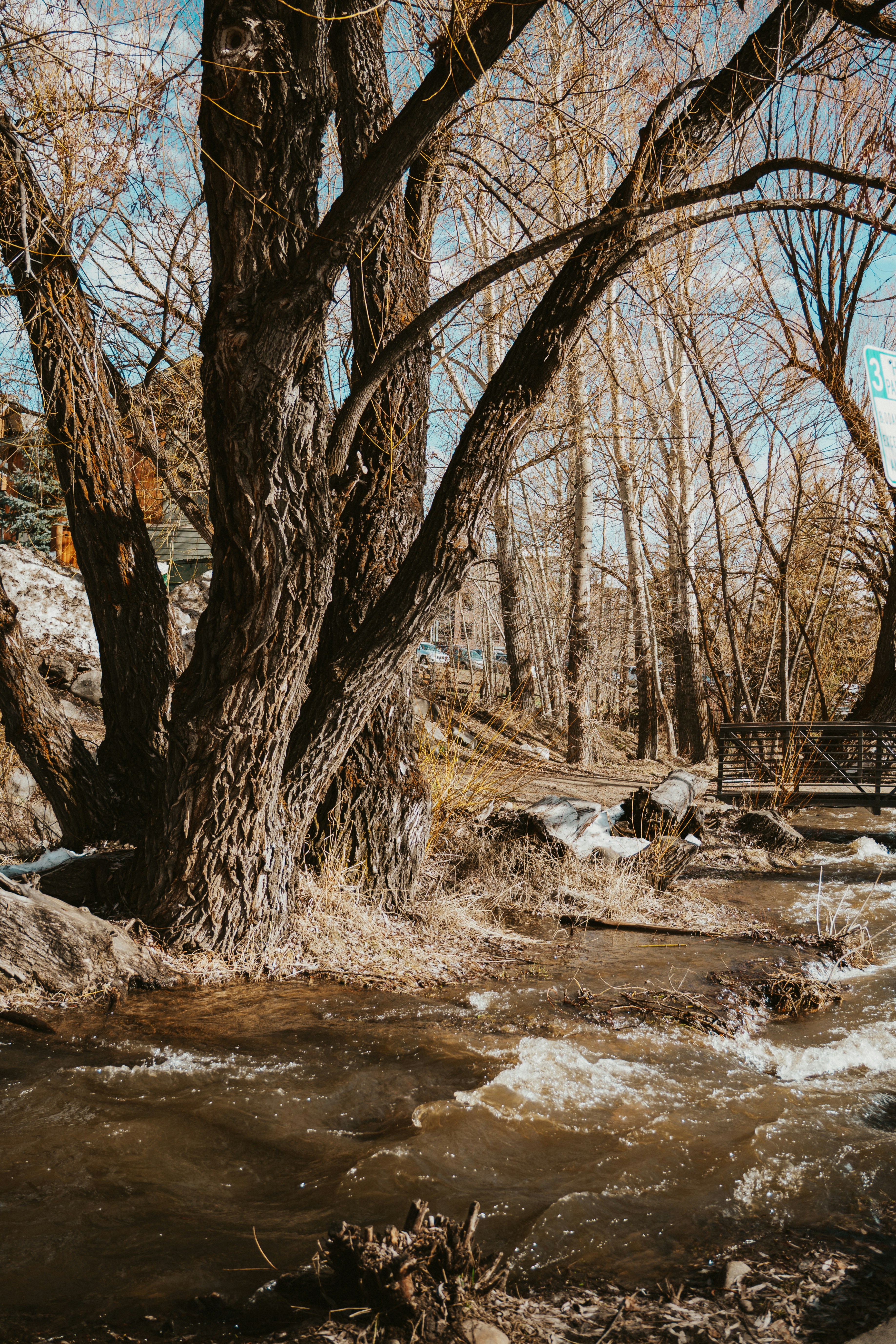 Photo by nickfuentes_