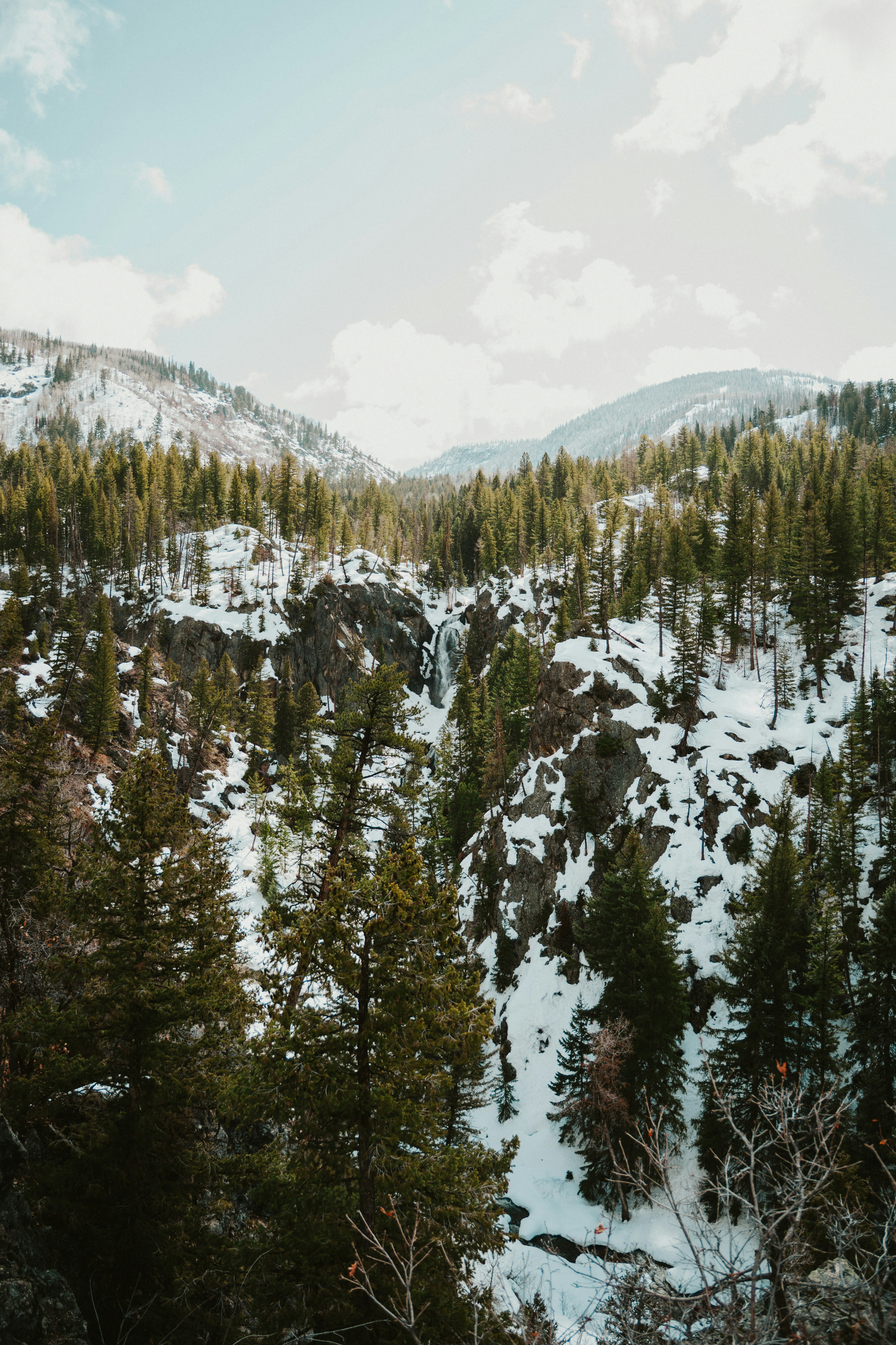 Photo by nickfuentes_