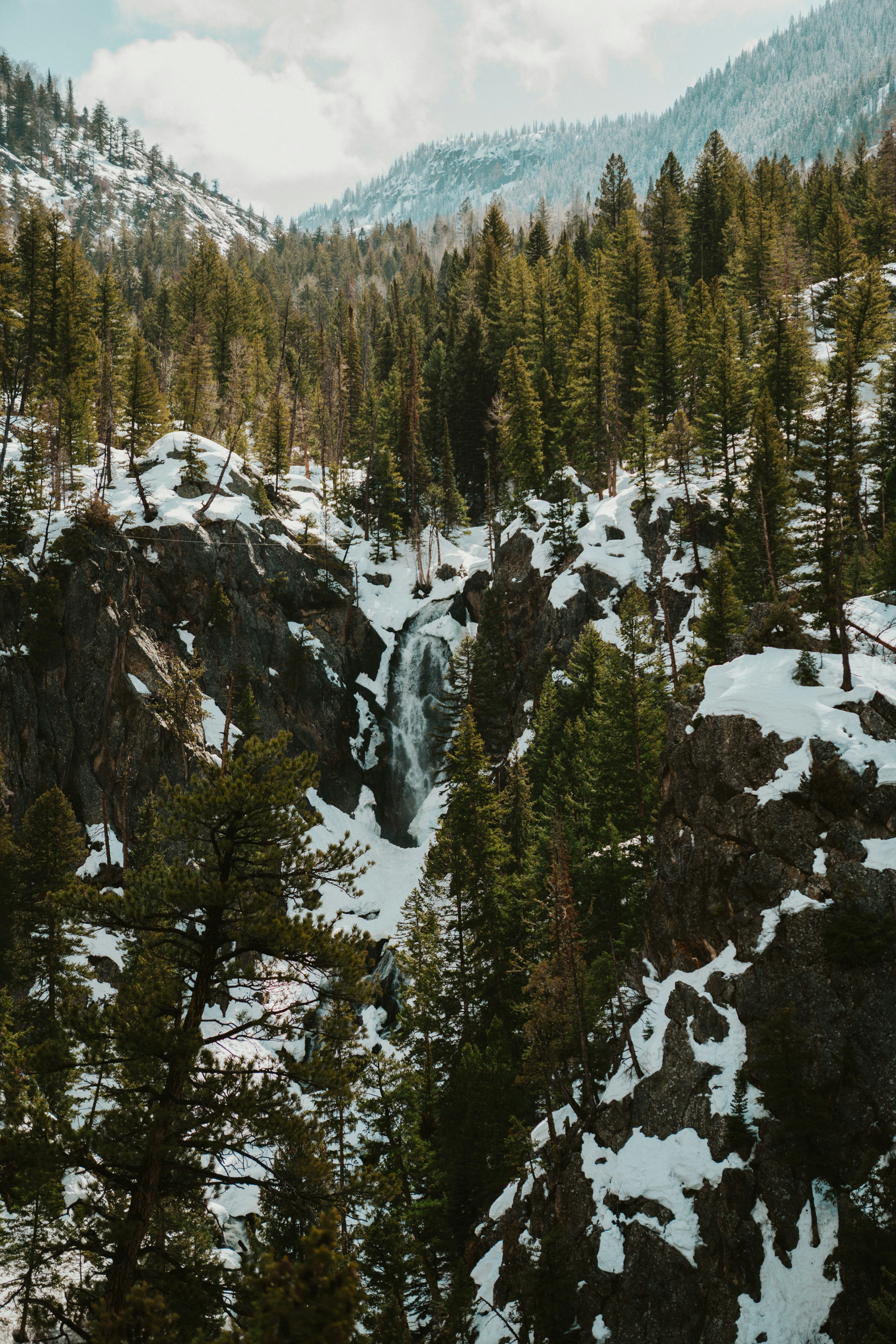 Photo by nickfuentes_