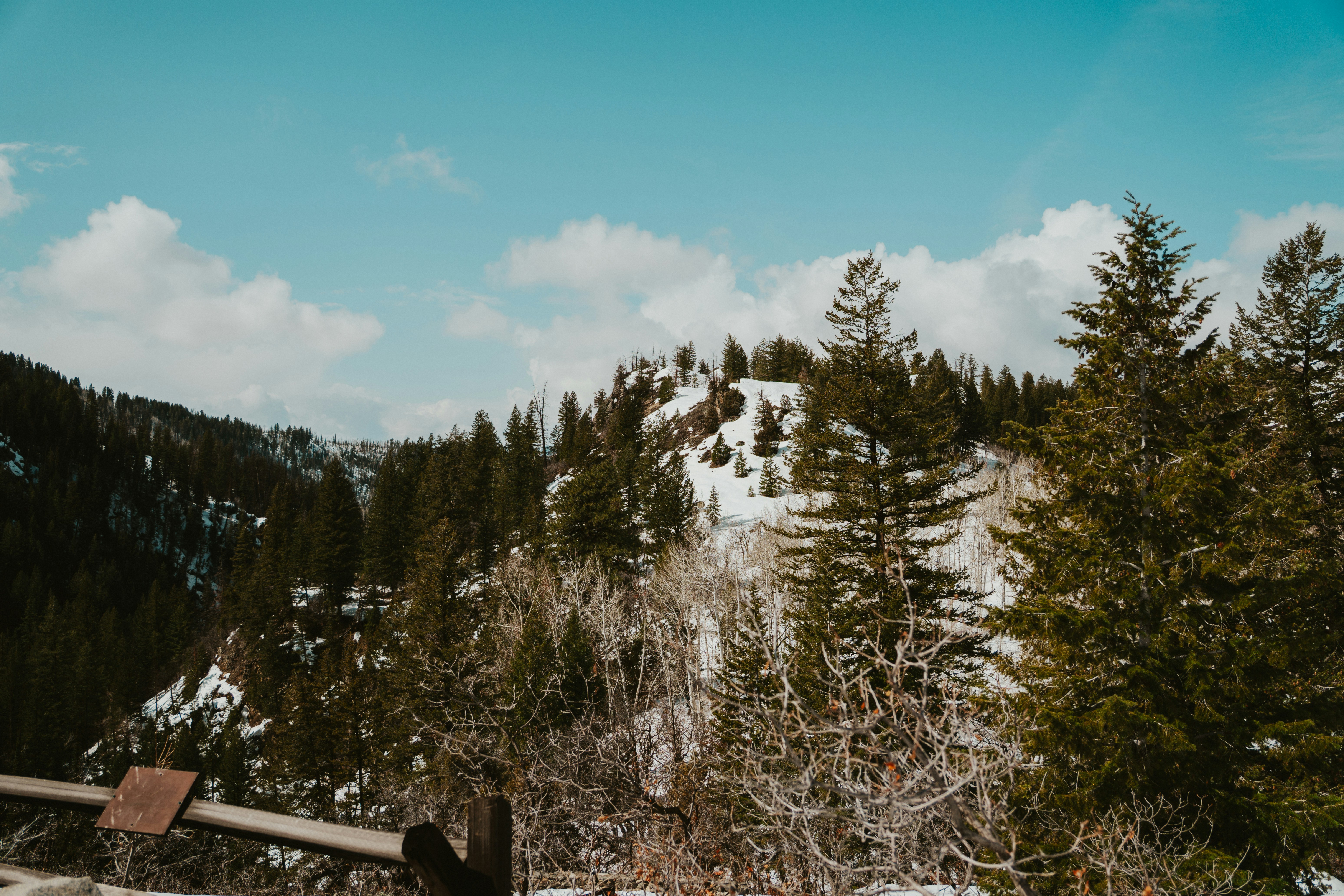 Photo by nickfuentes_