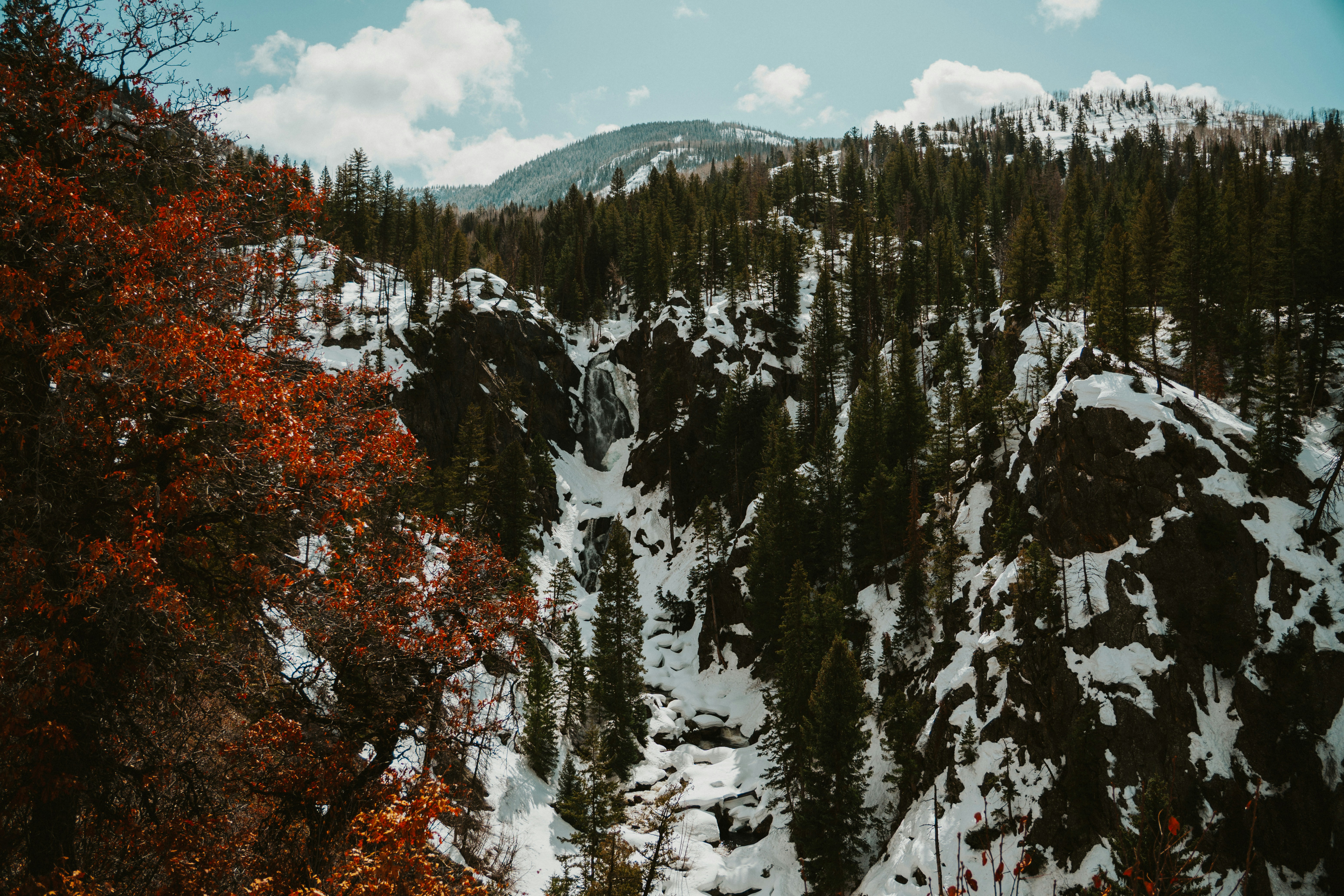 Photo by nickfuentes_