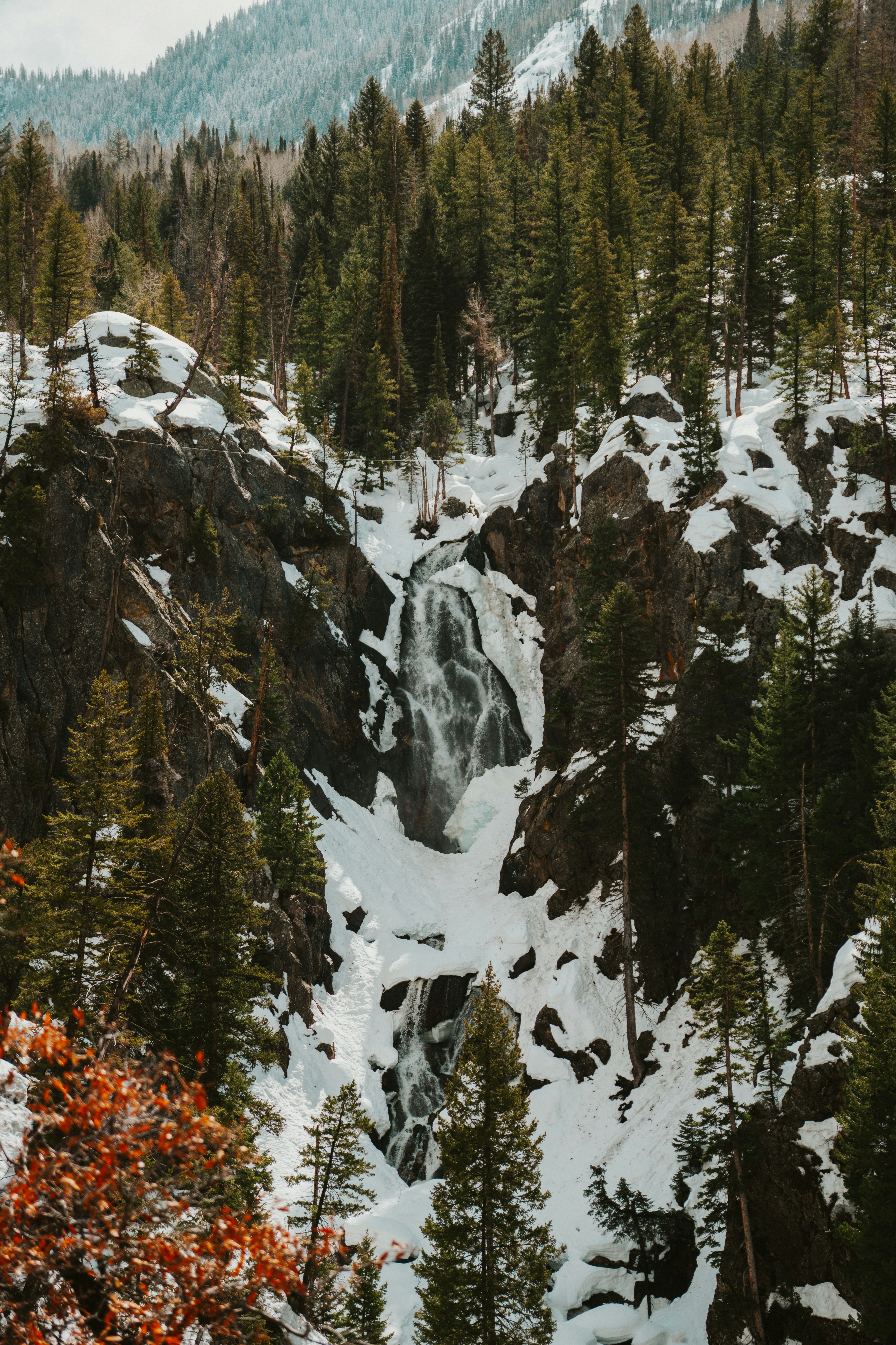 Photo by nickfuentes_