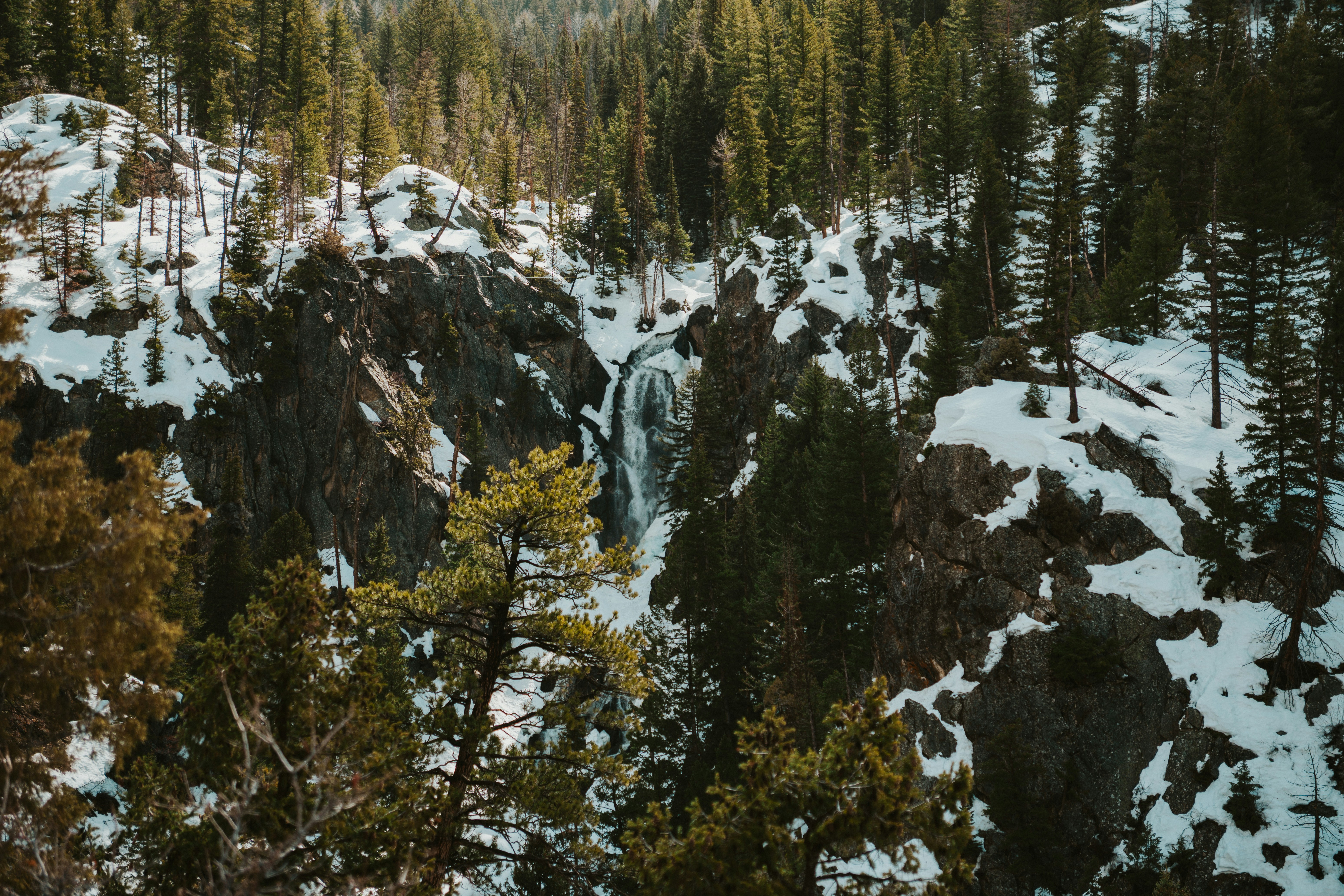 Photo by nickfuentes_