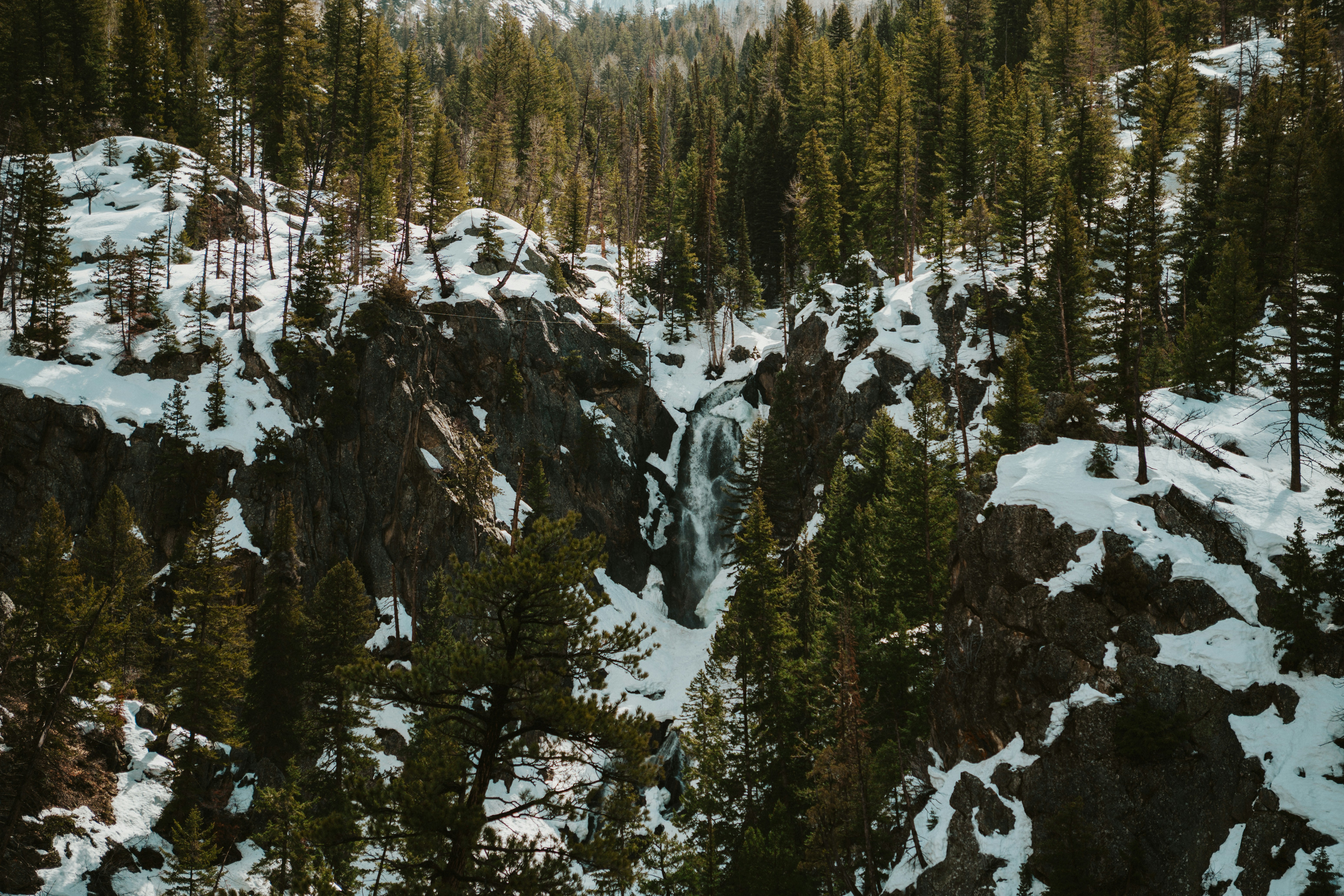 Photo by nickfuentes_