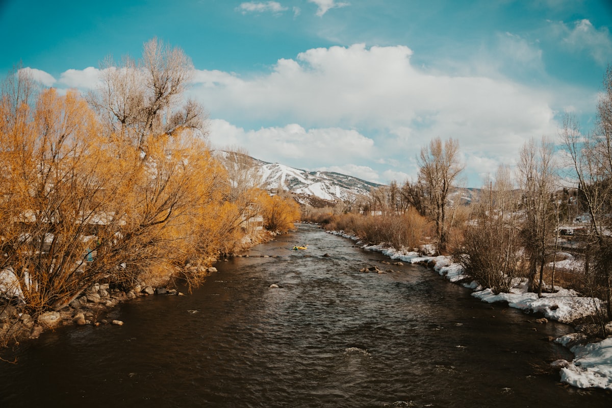 A slower, wider Colorado river run — the kind of pool-and-tailout water where fish stack at the drop into the next riffle