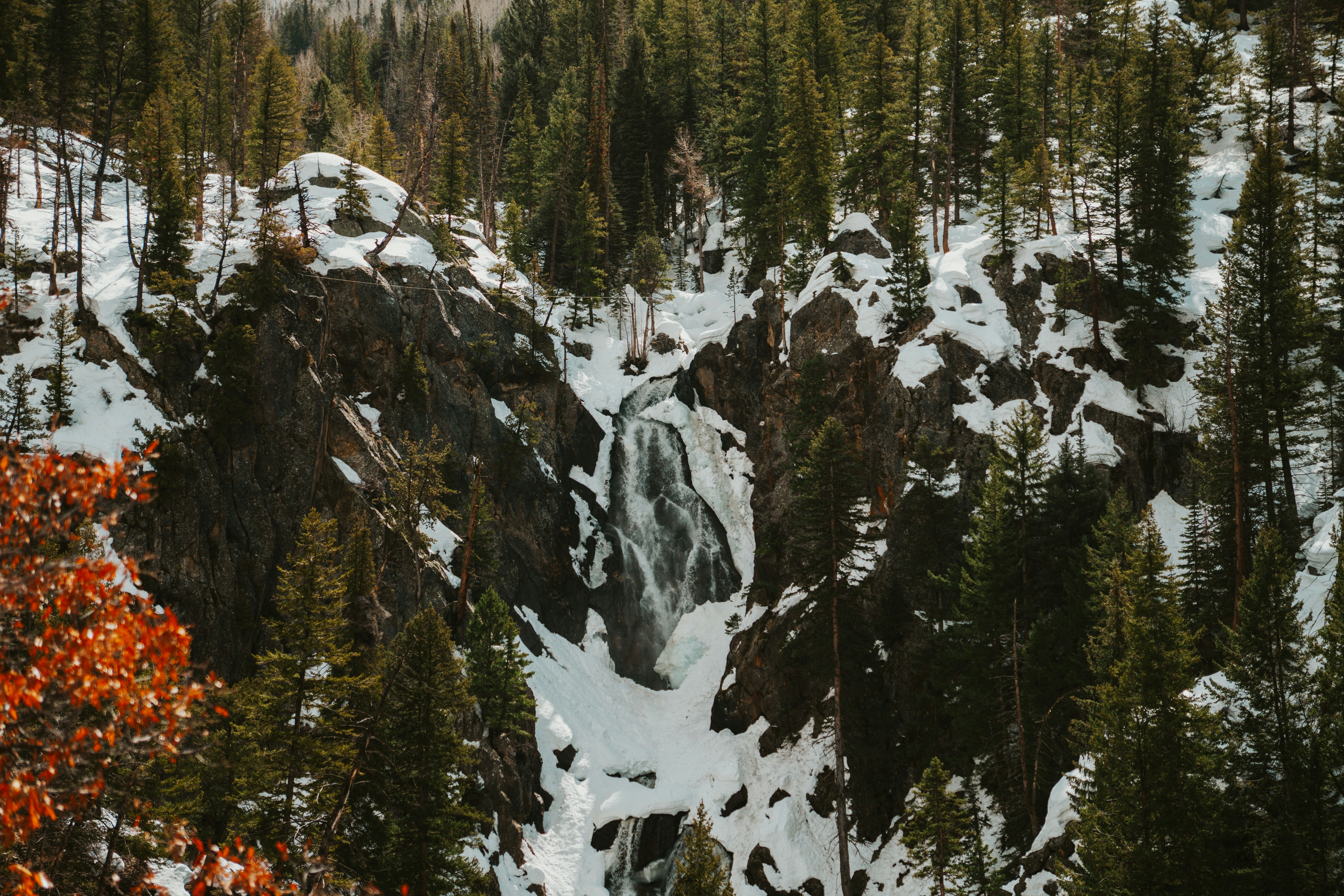 Photo by nickfuentes_