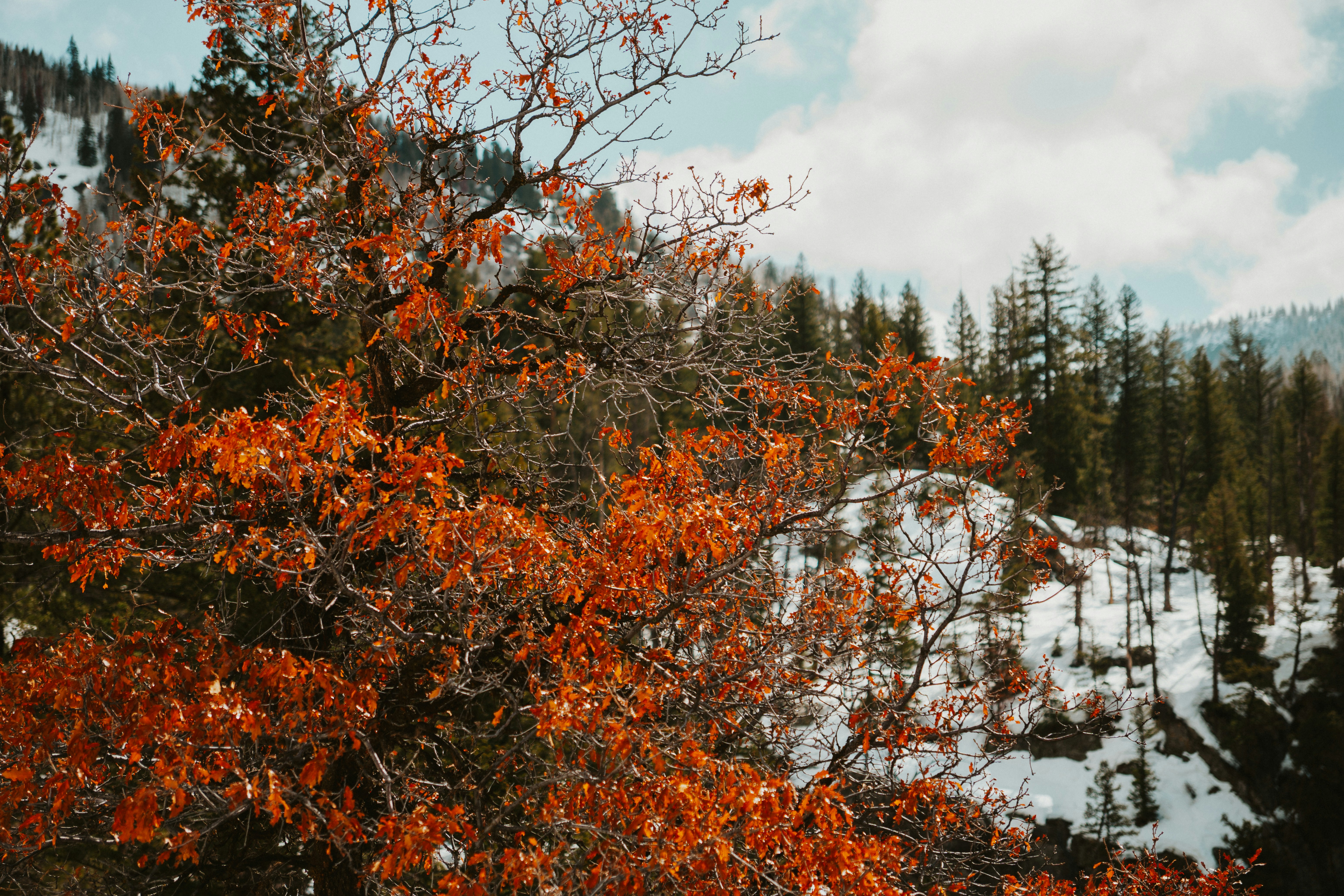 Photo by nickfuentes_