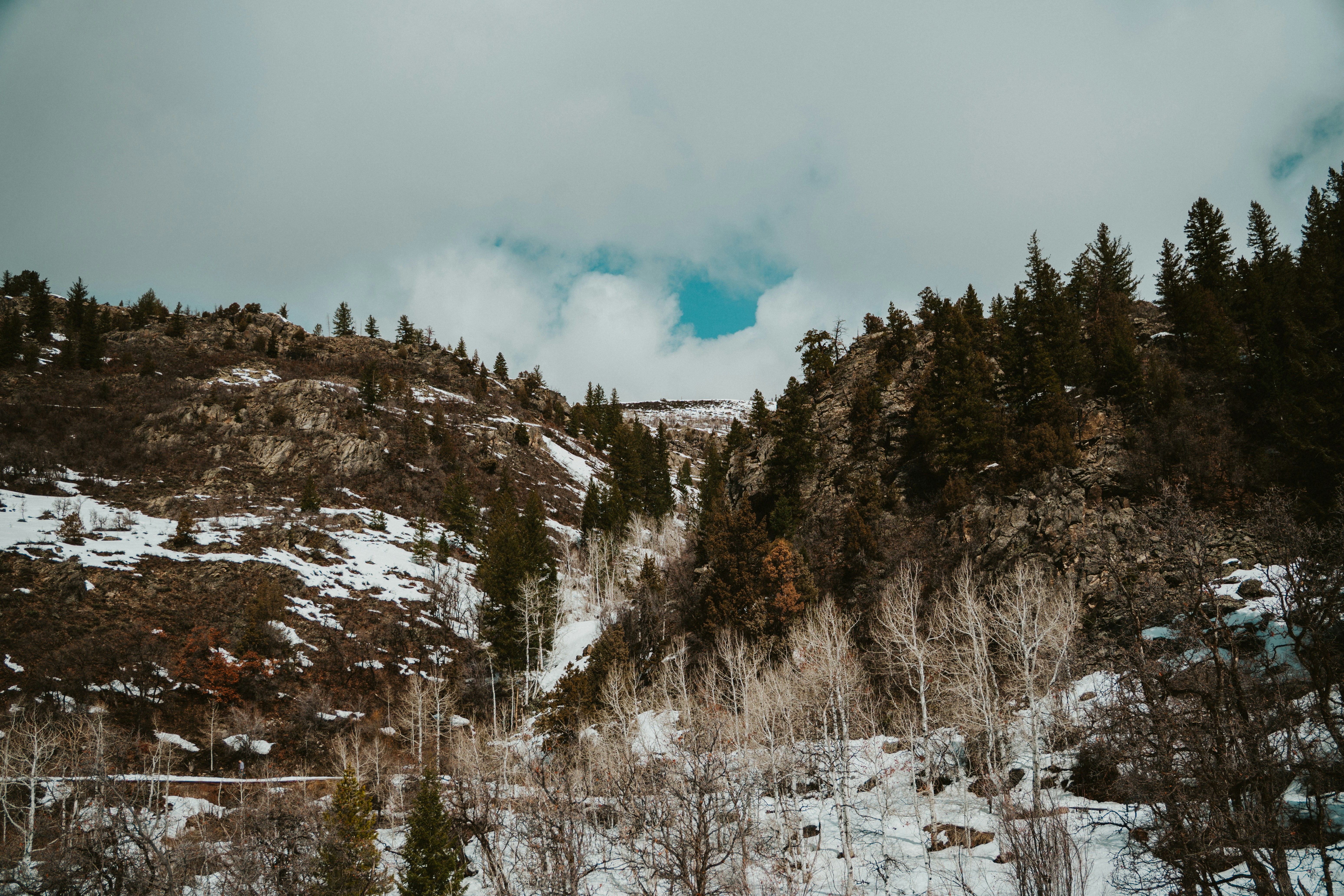 Mountains with trees and snow under a cloudy sky., 