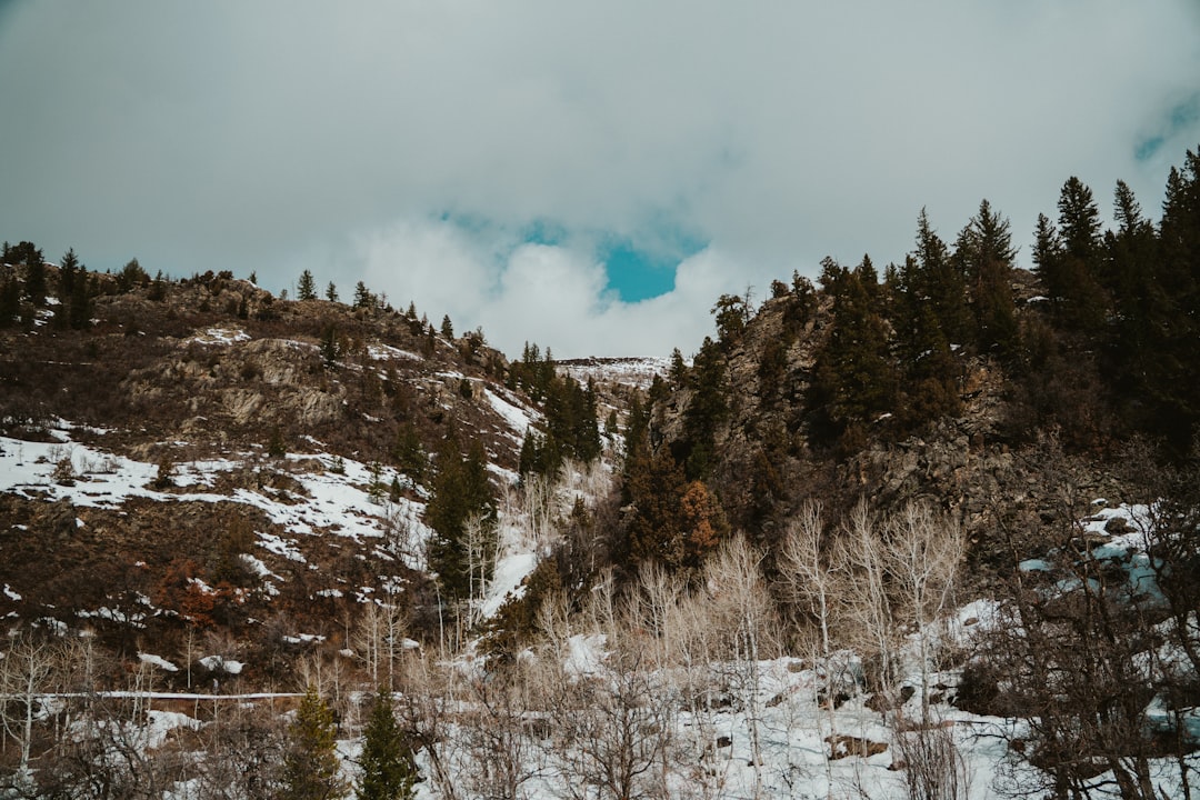 Mountains with trees and snow under a cloudy sky.,