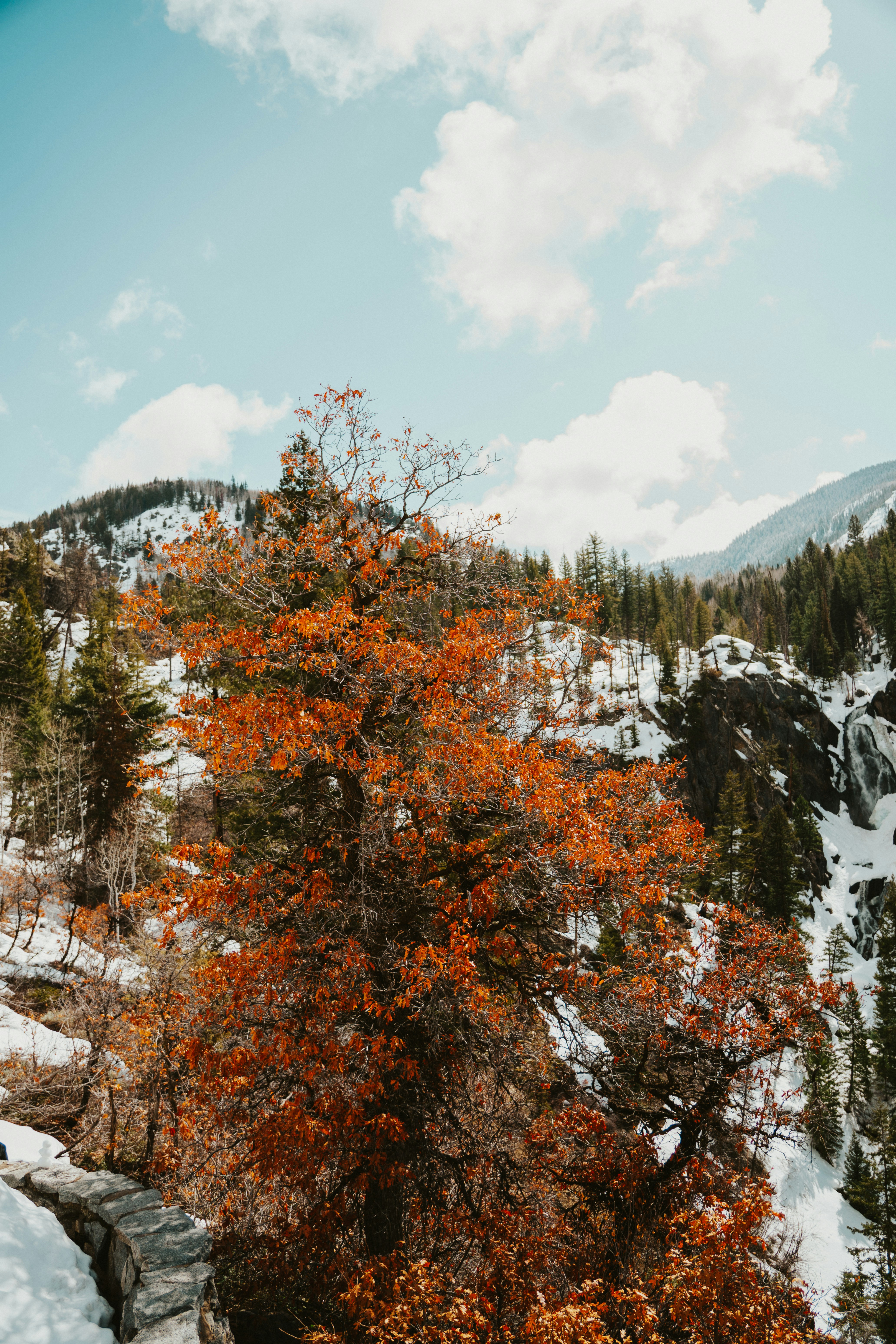 Photo by nickfuentes_