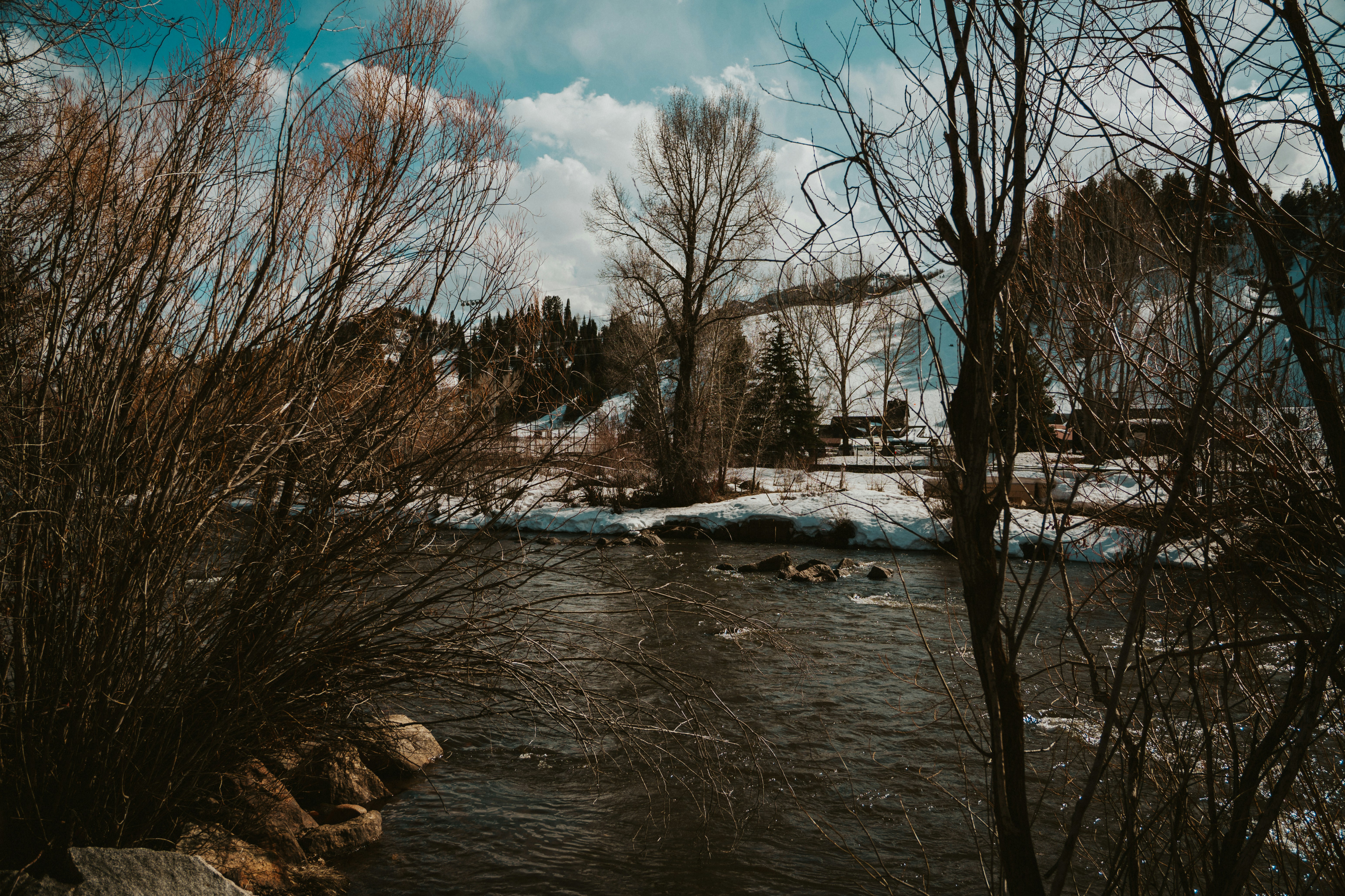 Photo by nickfuentes_