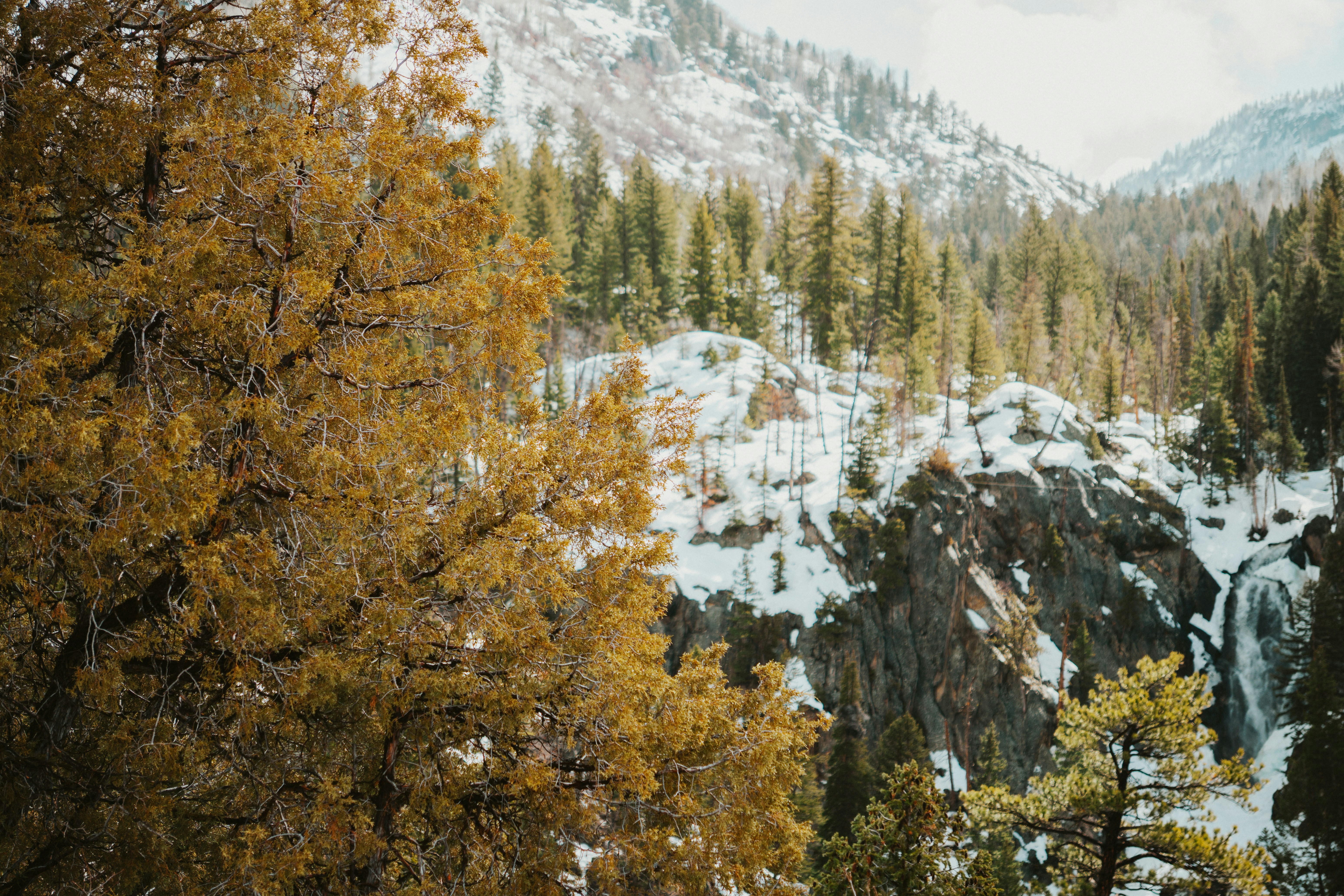 Photo by nickfuentes_