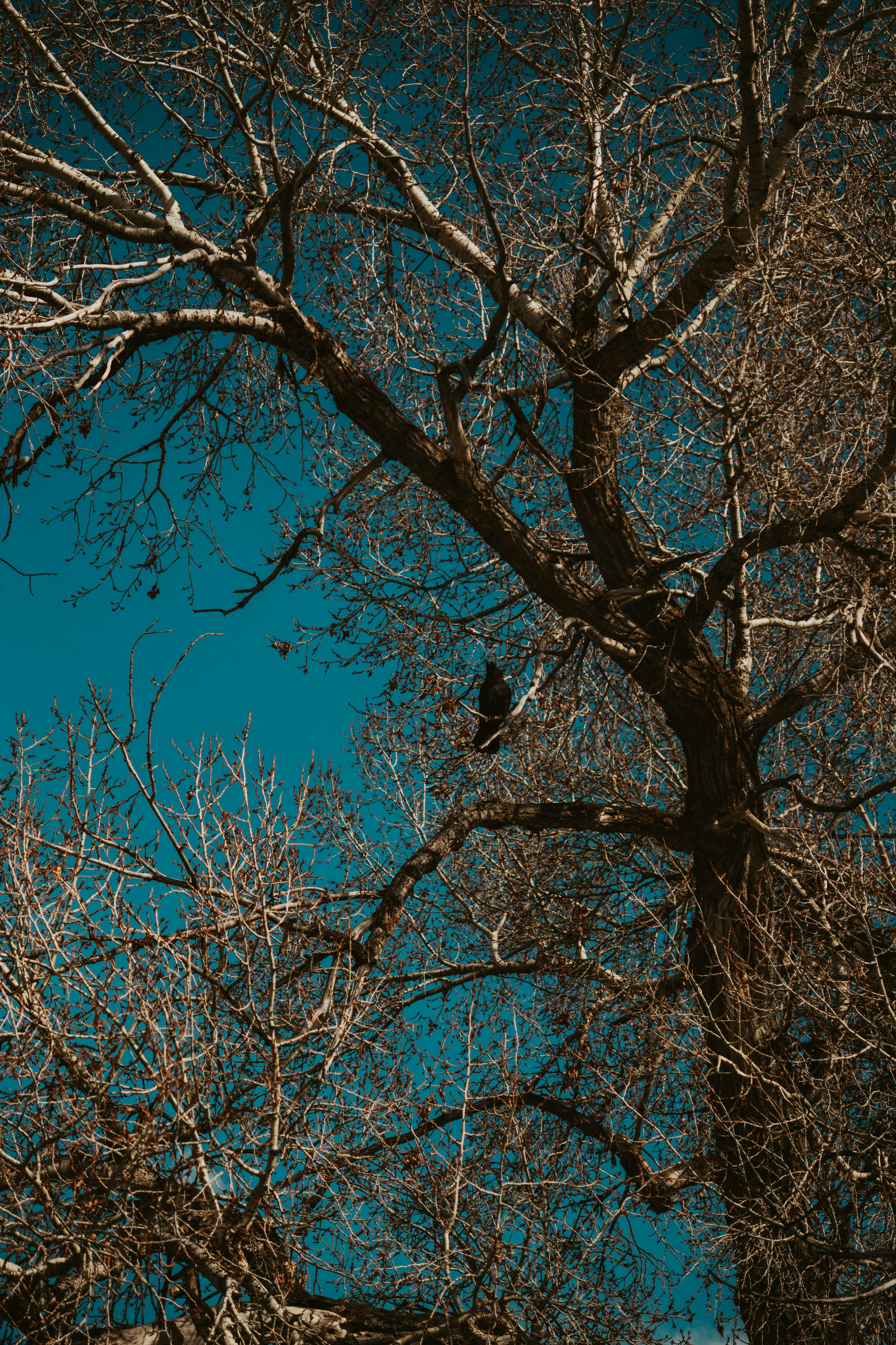 Photo by nickfuentes_