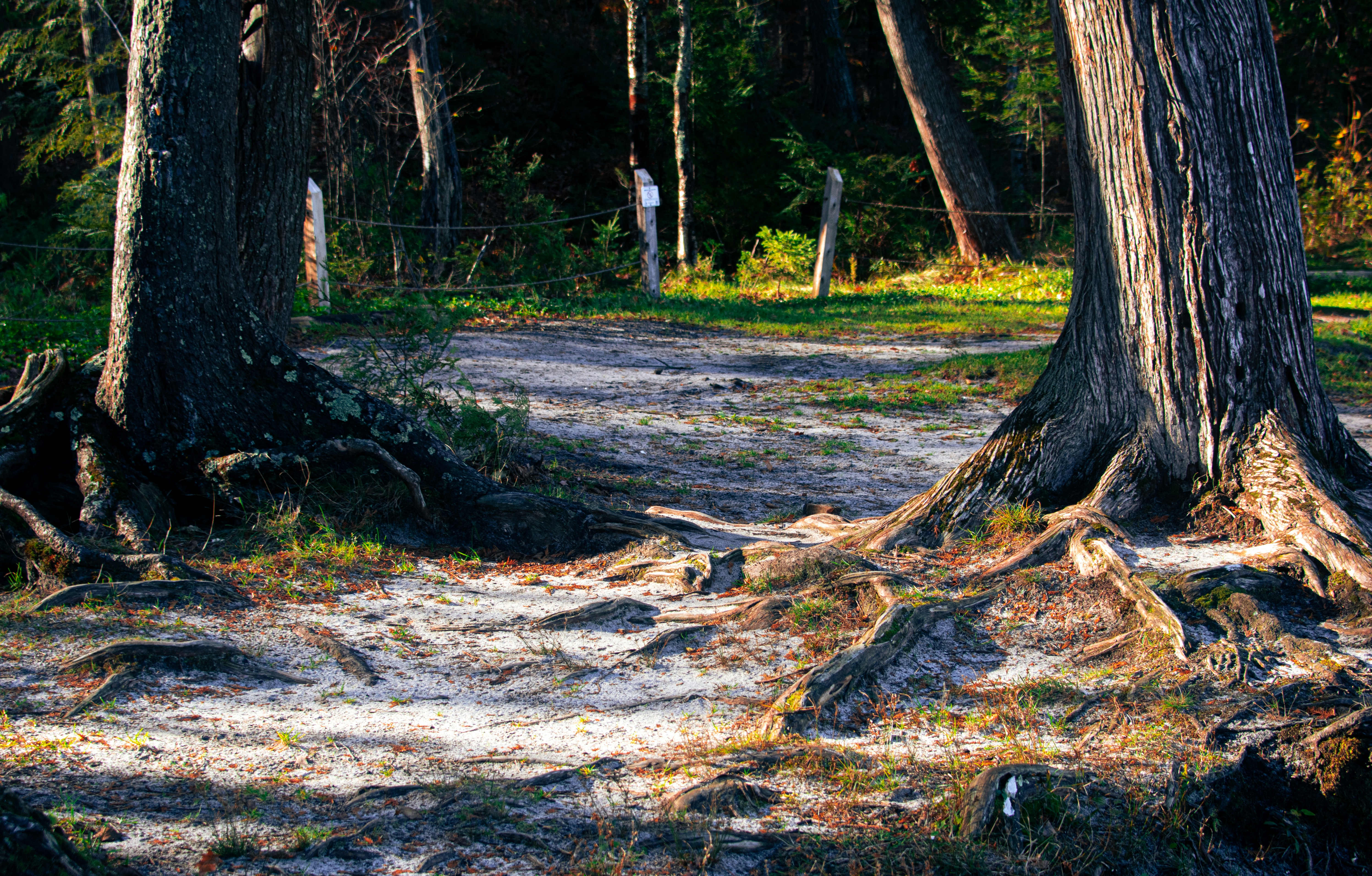 Photo by lxsphotography