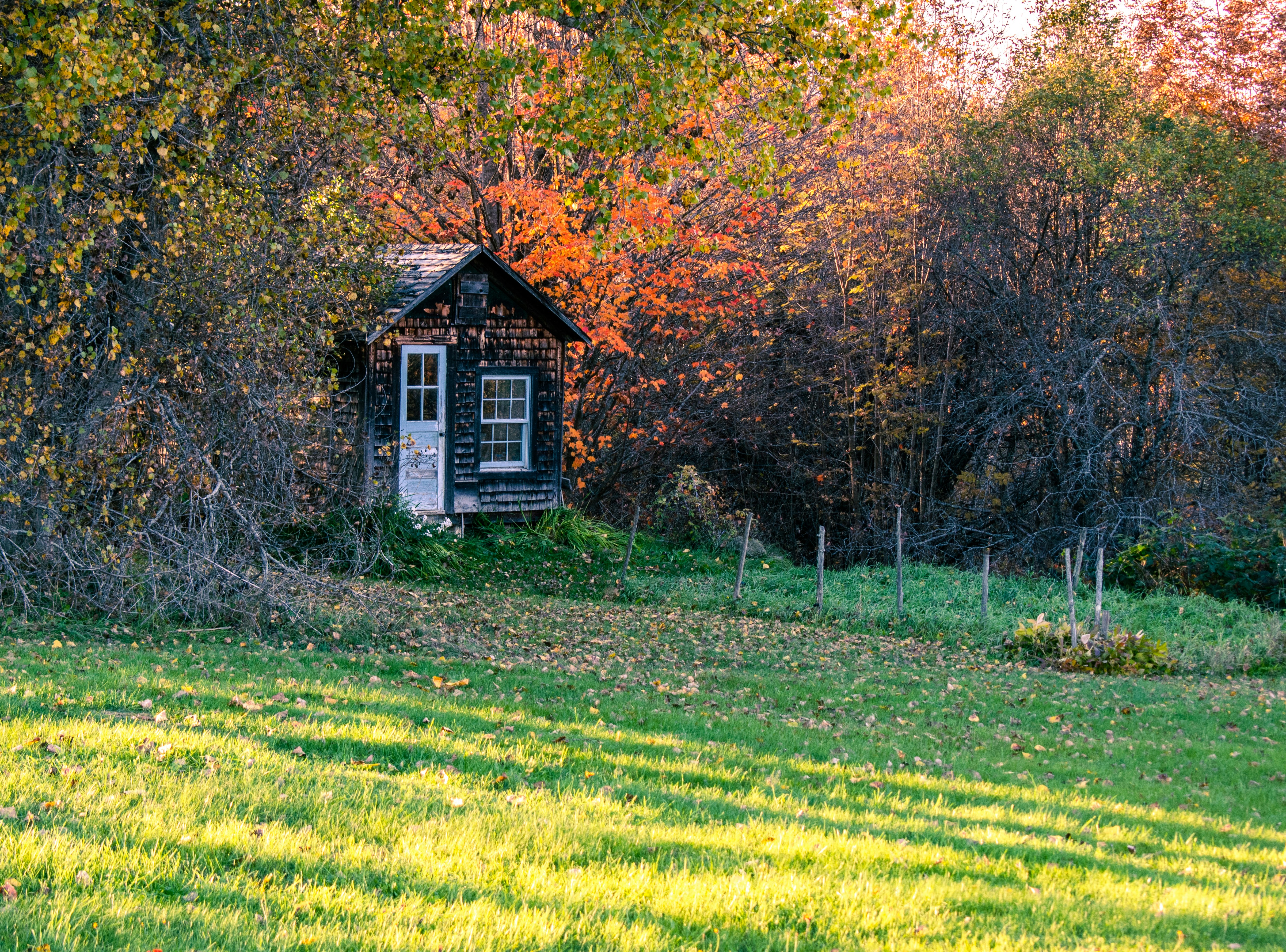 A cozy, modern pod nestled in a serene natural landscape, offering a unique getaway experience.
