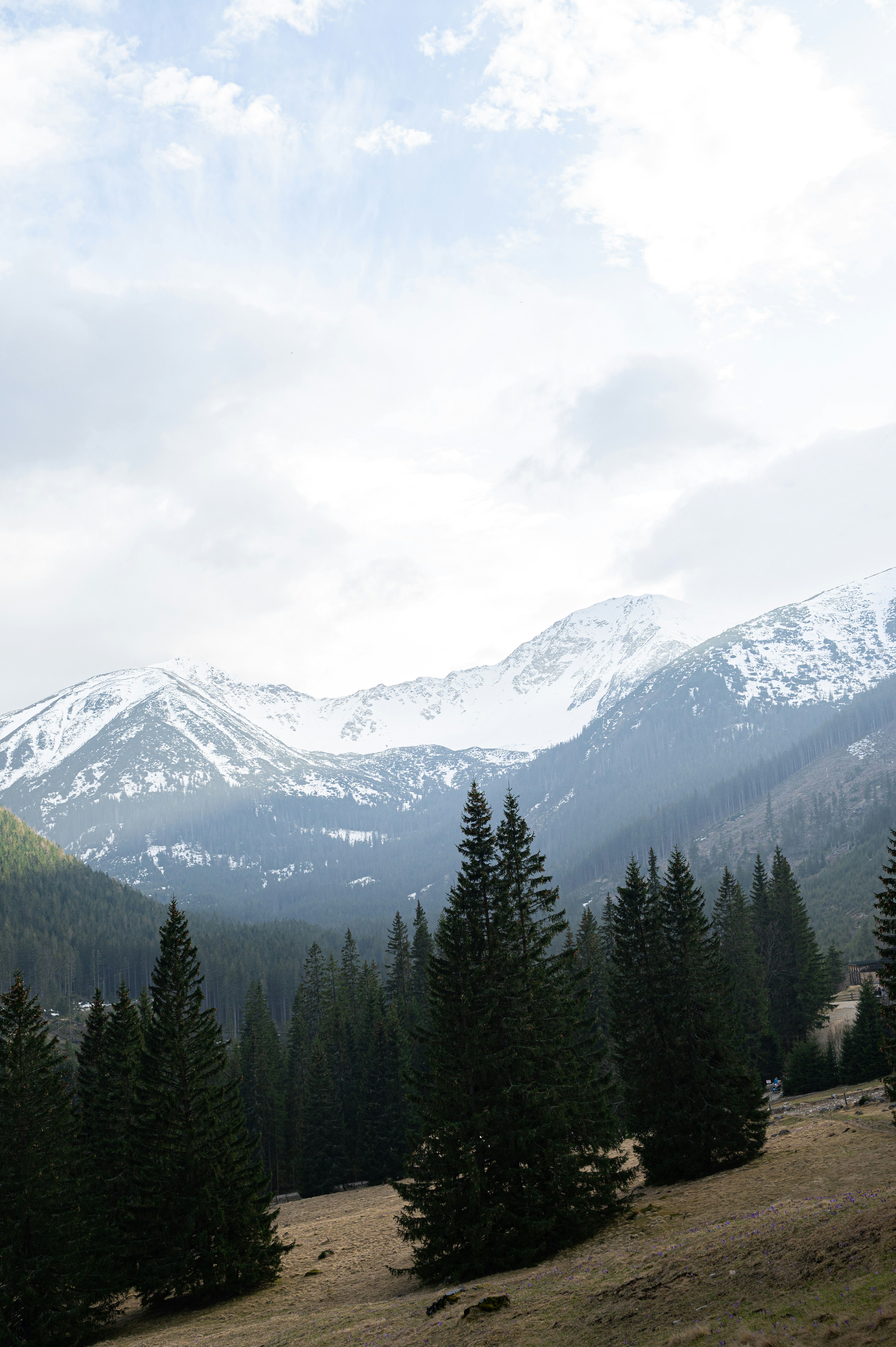 Photo by alexandra_p_d