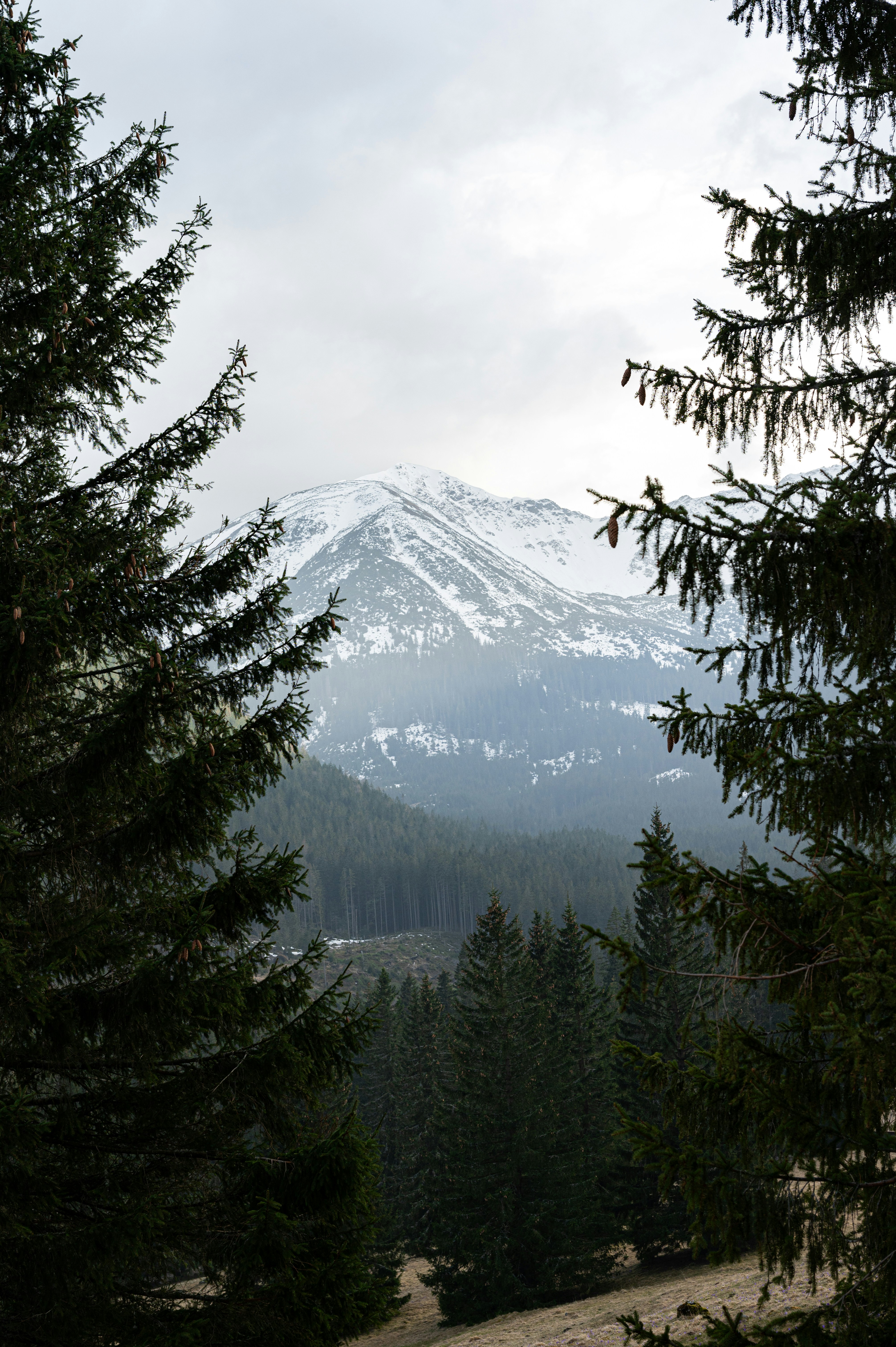 Photo by alexandra_p_d