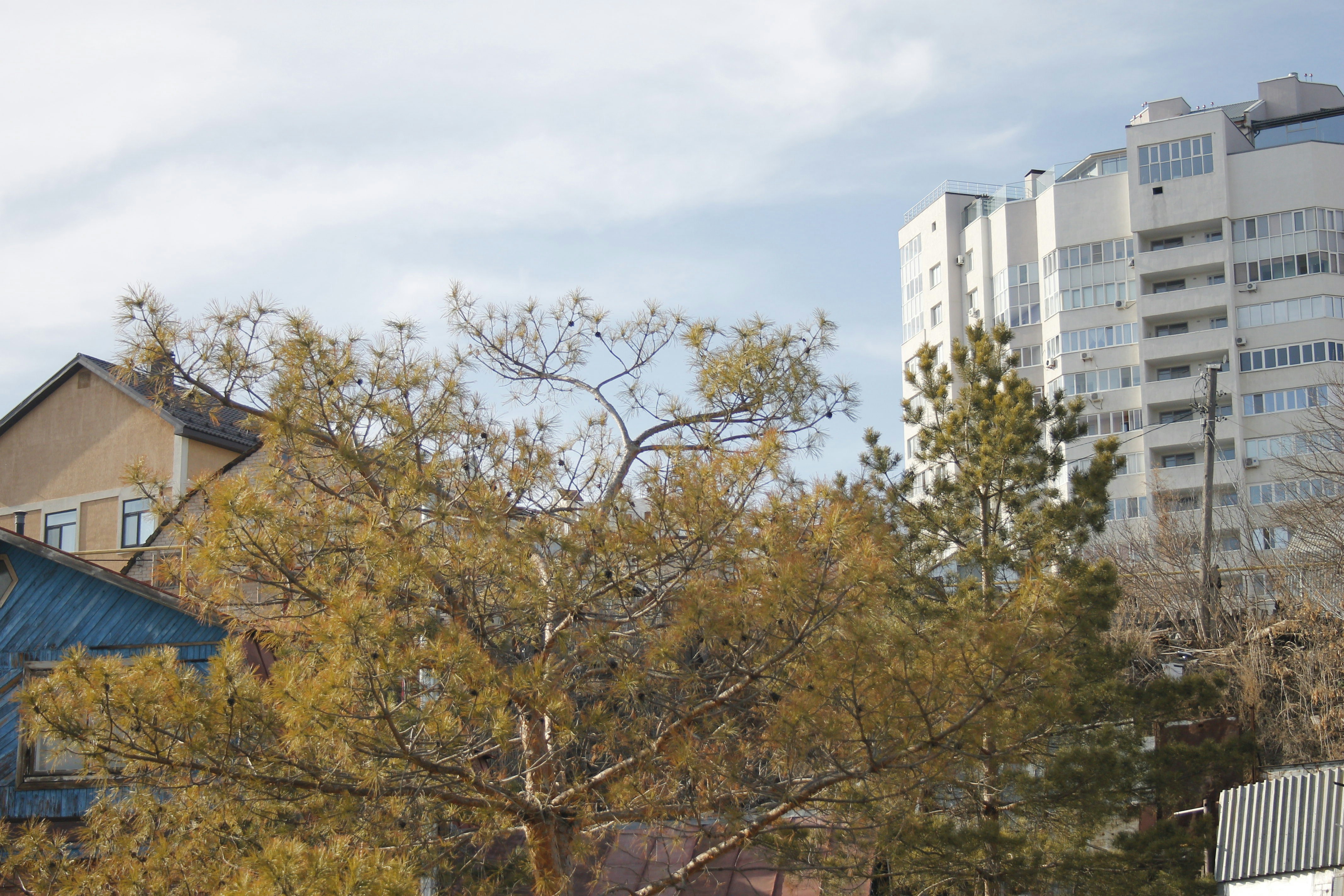 Photo by rackov_team