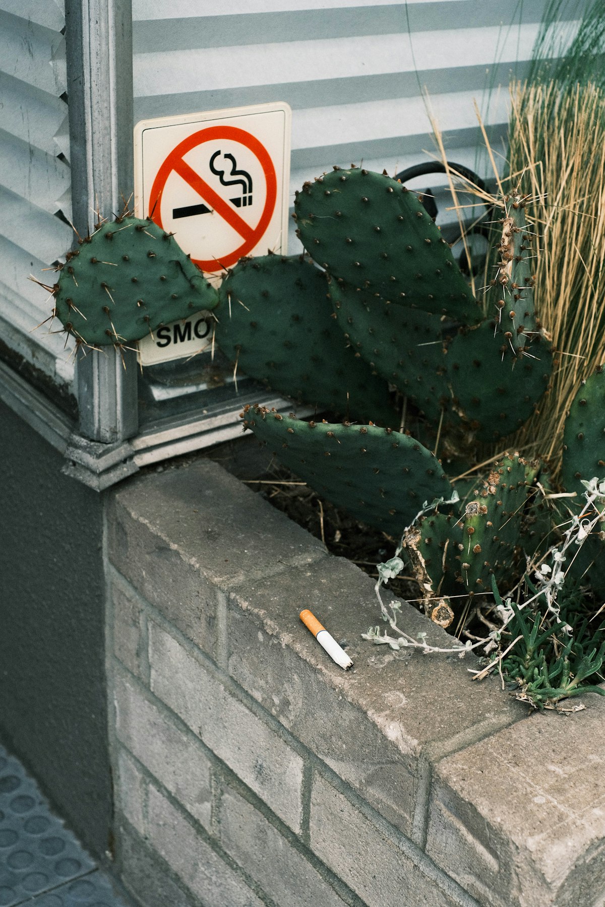 Ein Schild mit Rauchverbot und eine Zigarette im Vordergrund – Symbol für Auslöser beim Rauchstopp