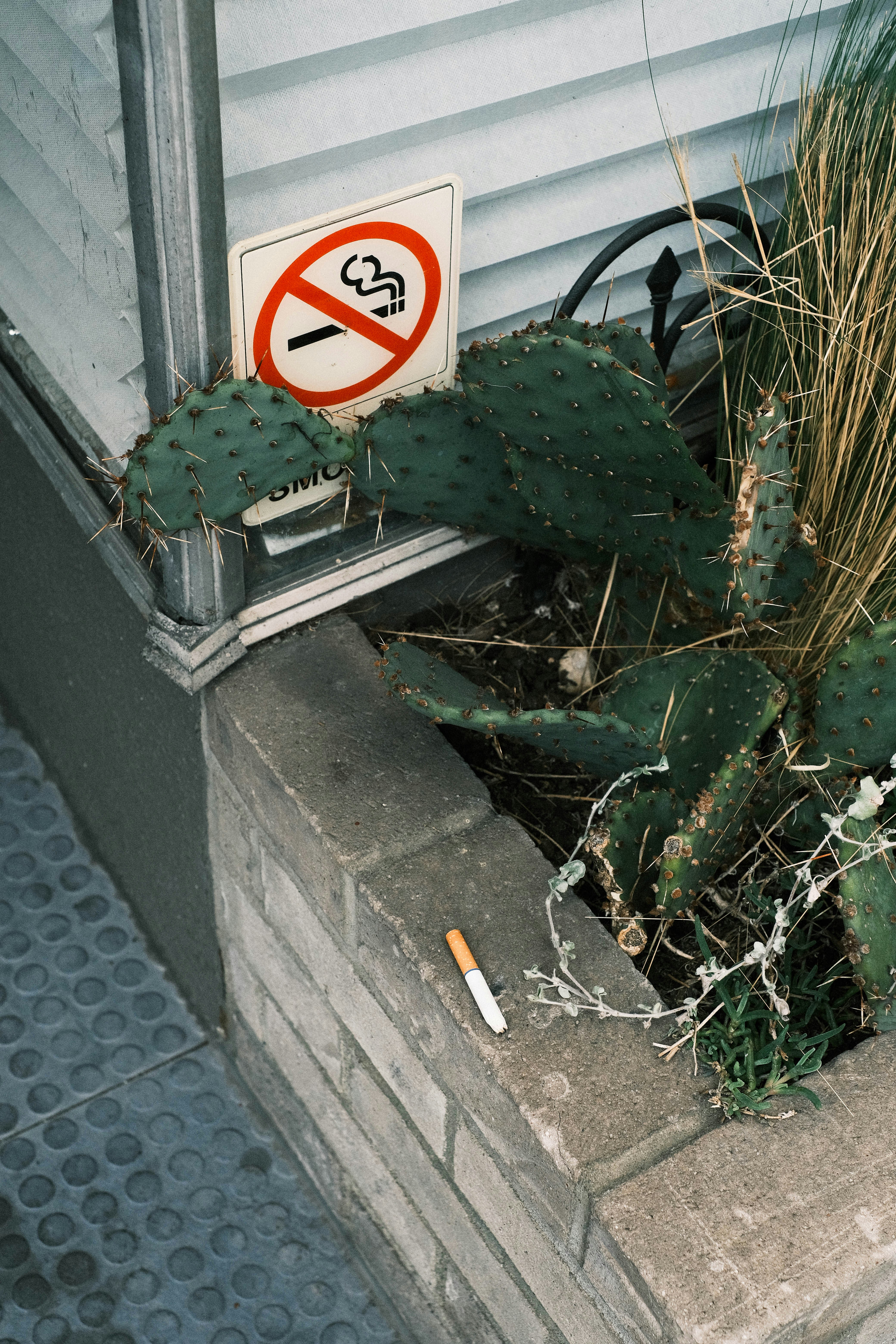 No-Smoking Schild – Entscheidung rauchfrei