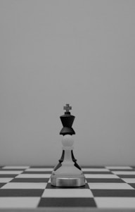 A chess king stands alone on the chessboard.