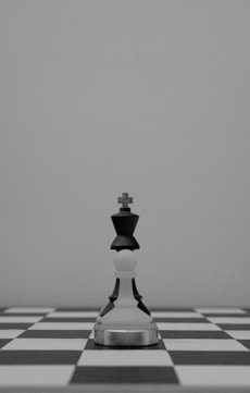 A chess king stands alone on the chessboard.