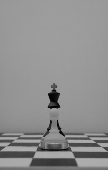 A chess king stands alone on the chessboard.