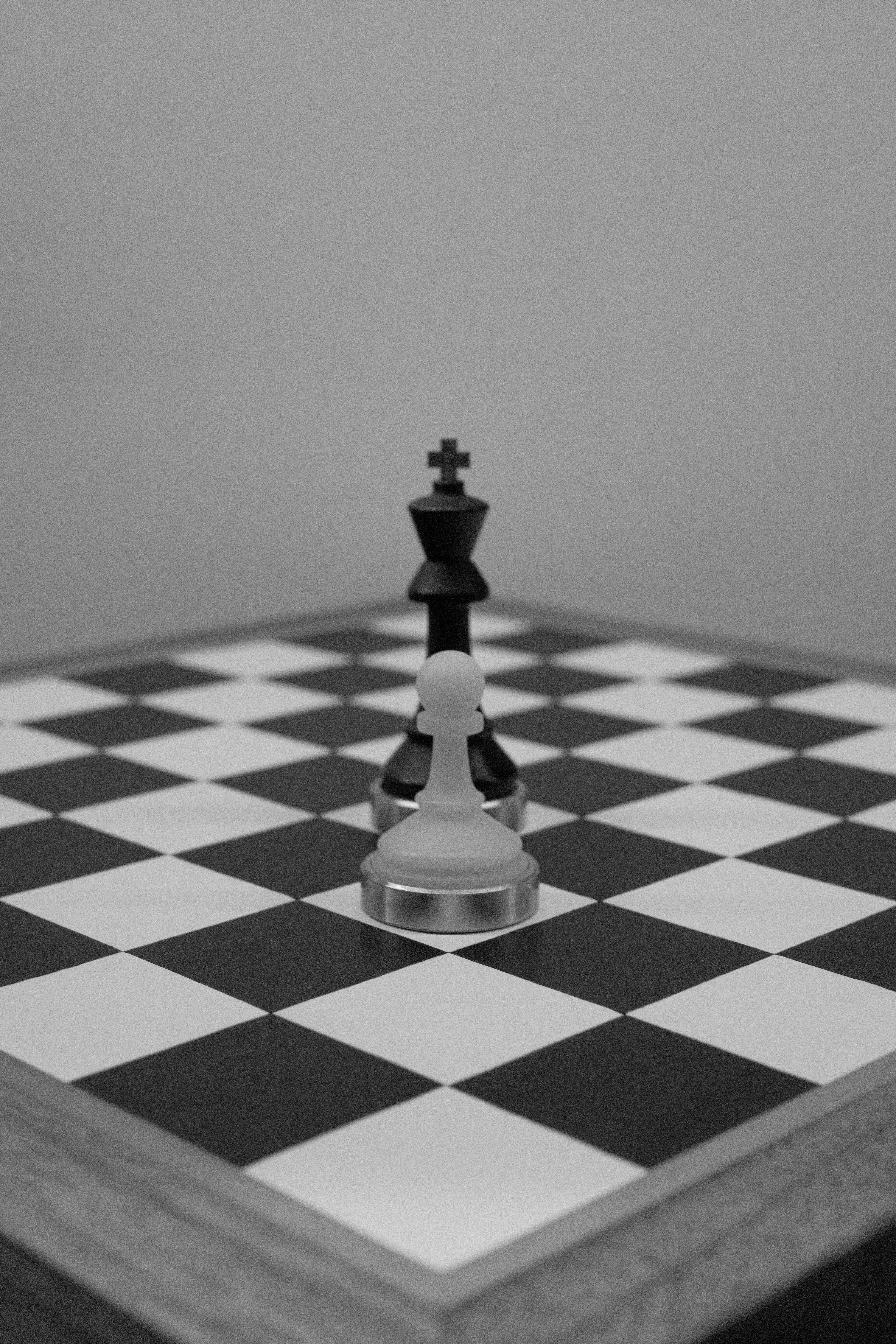photo-1743354832688-62369caa20a9?ixid=M3