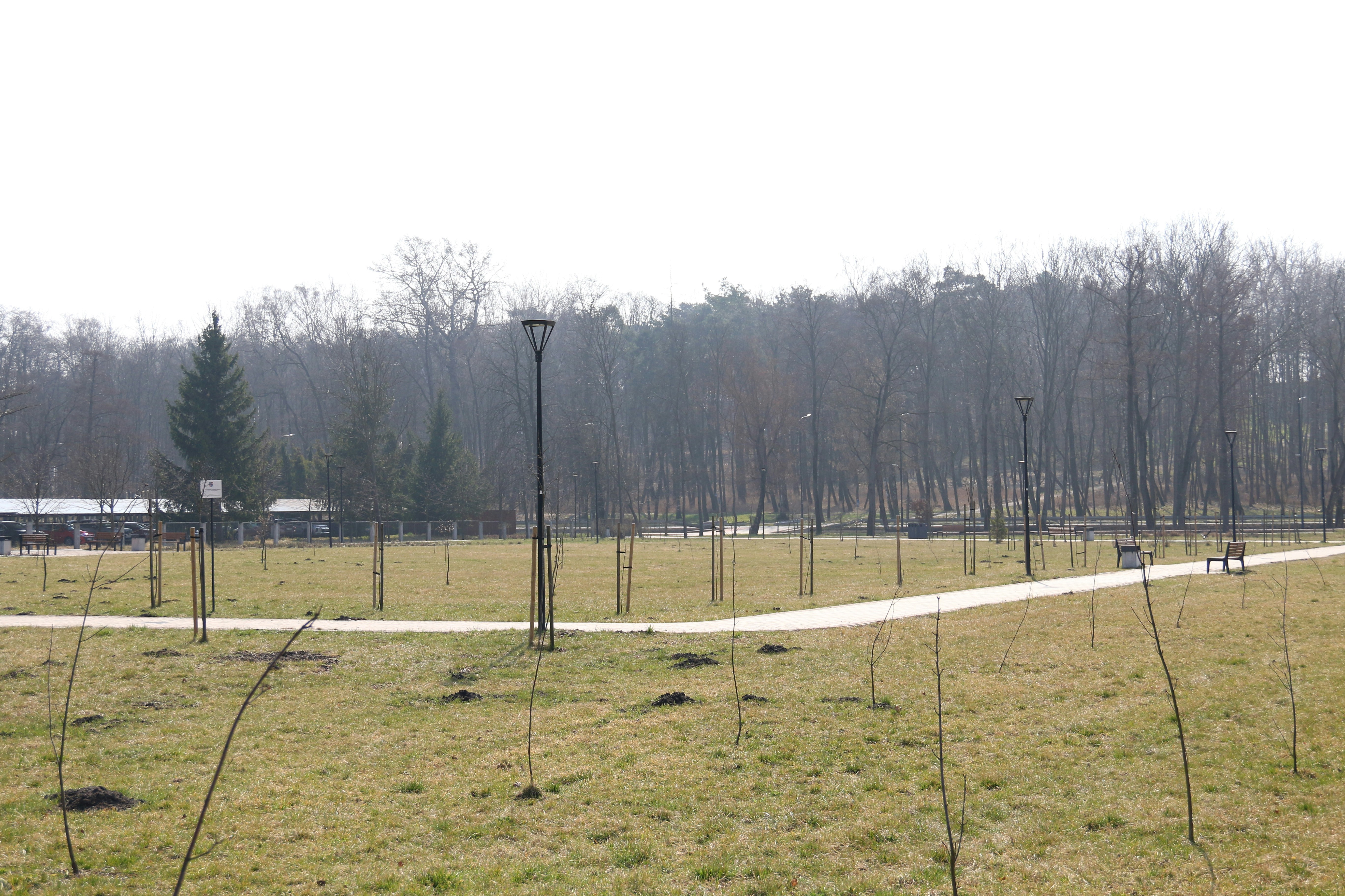 Park Pałacowy w Wysokiej