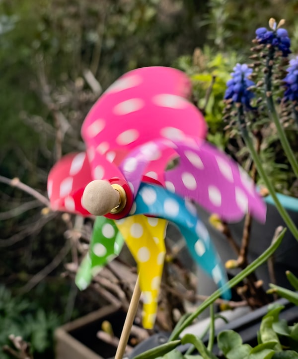 Création de parterre fleuri