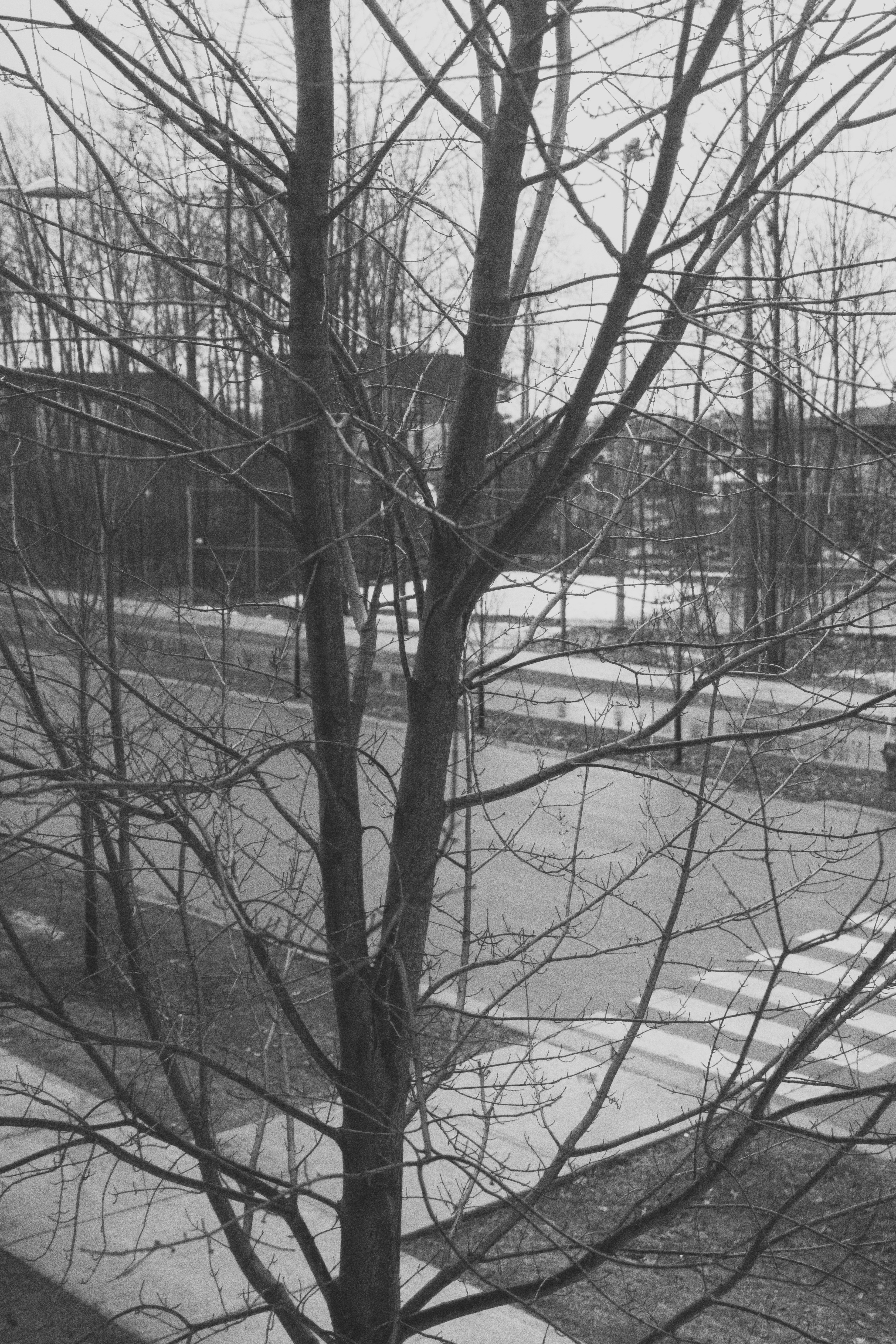 Photo by user90807060