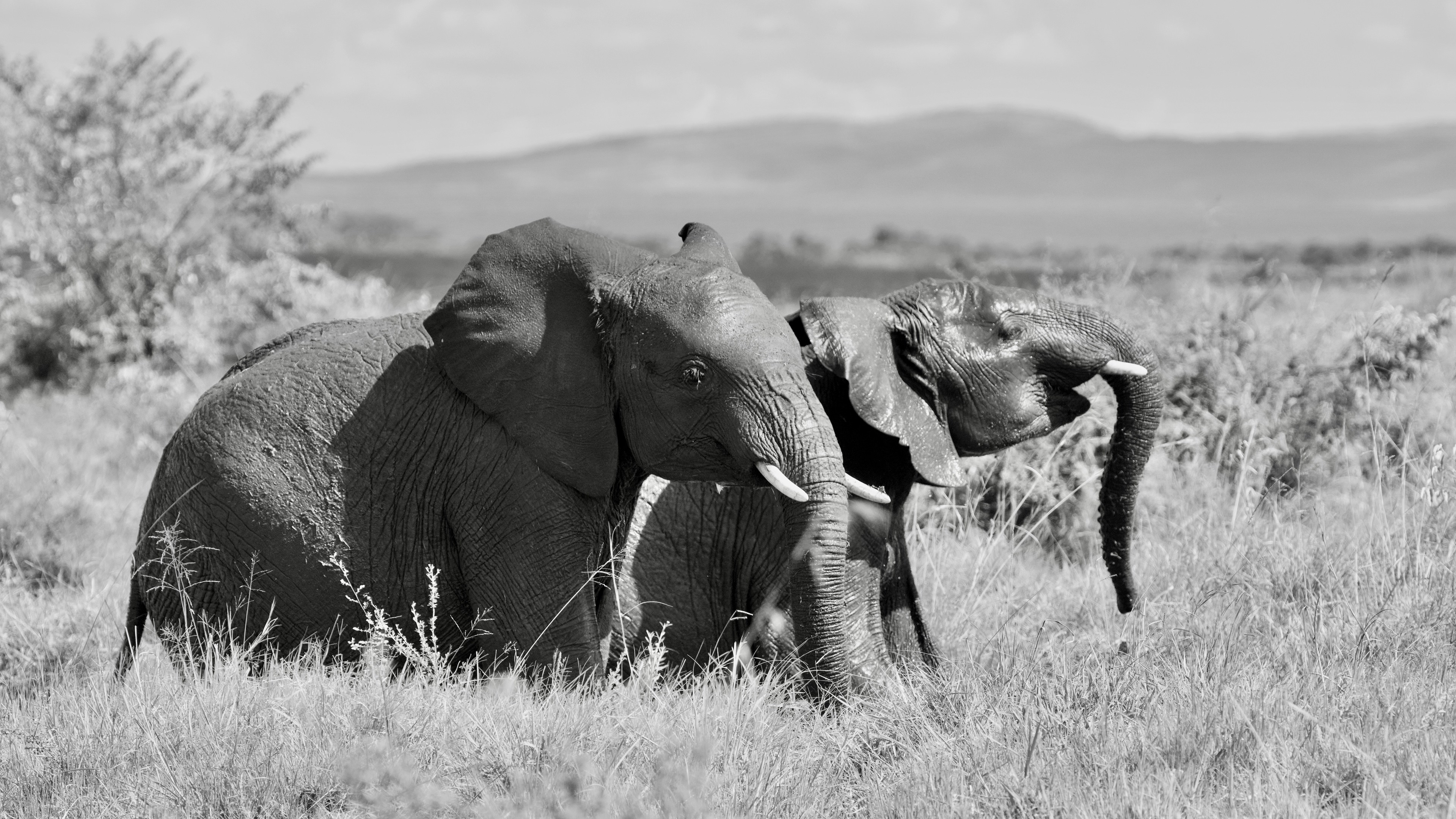 Photo by missymoo125