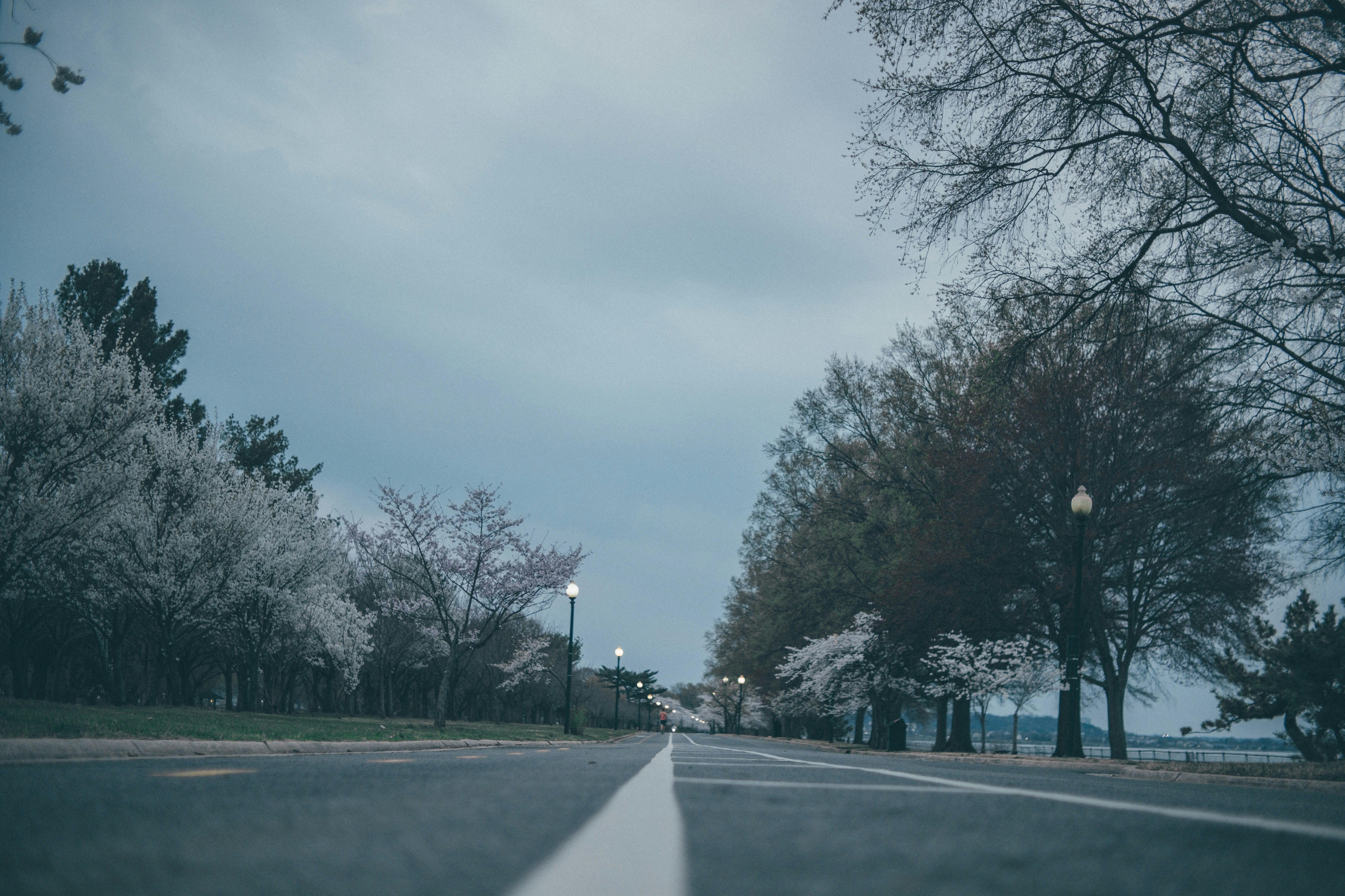 Photo by magicunsplash