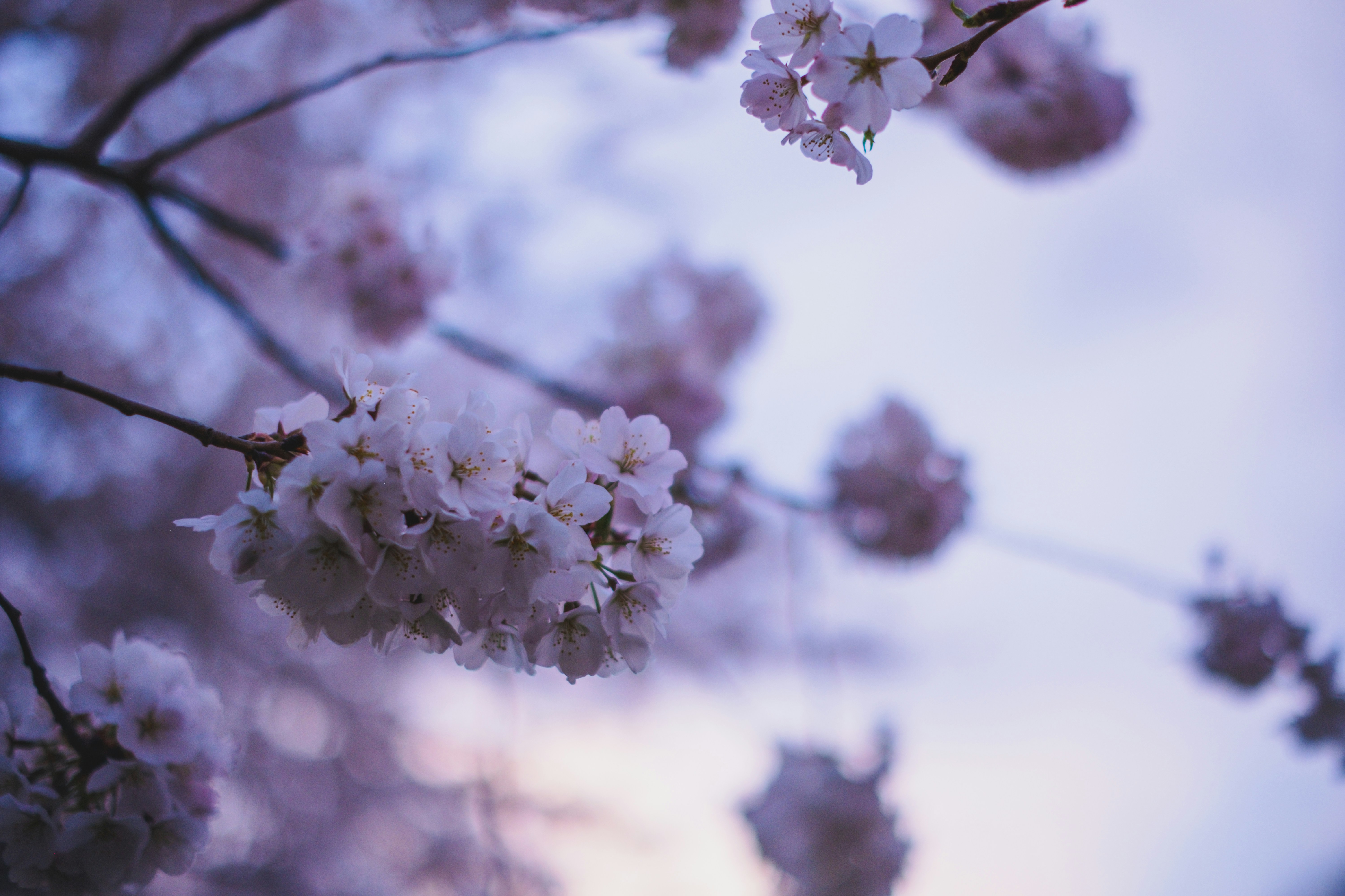 Photo by magicunsplash