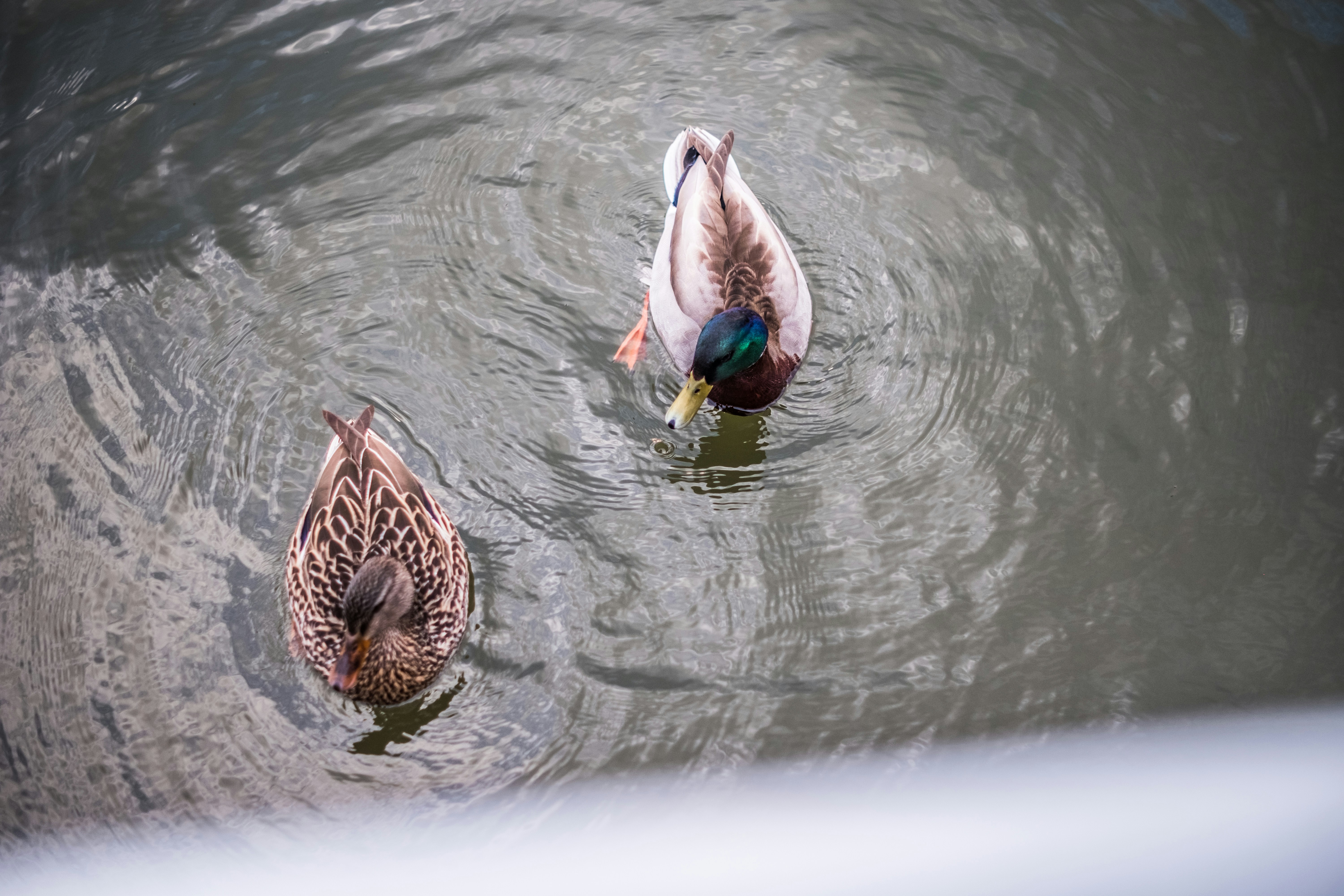Photo by magicunsplash