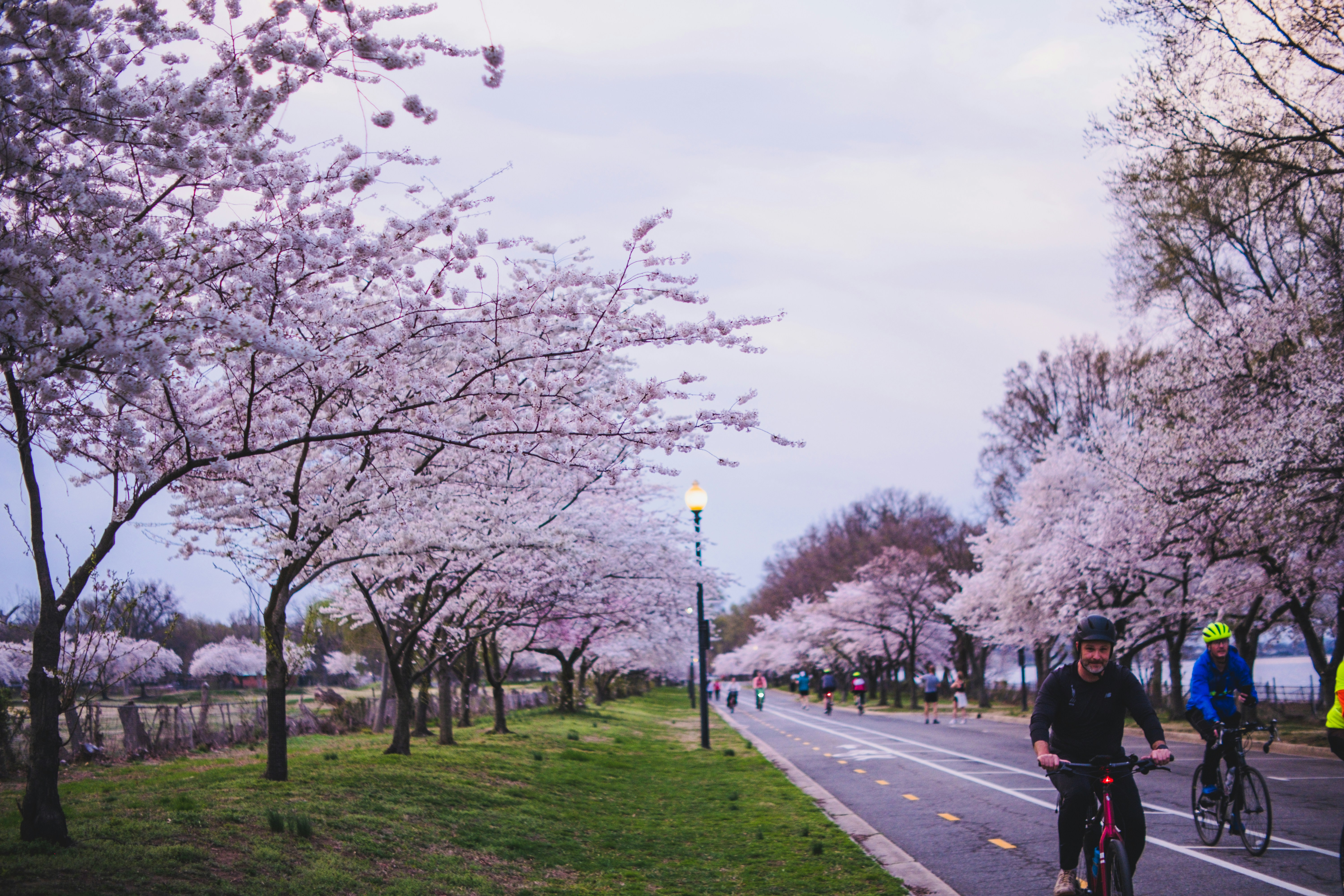 Photo by magicunsplash