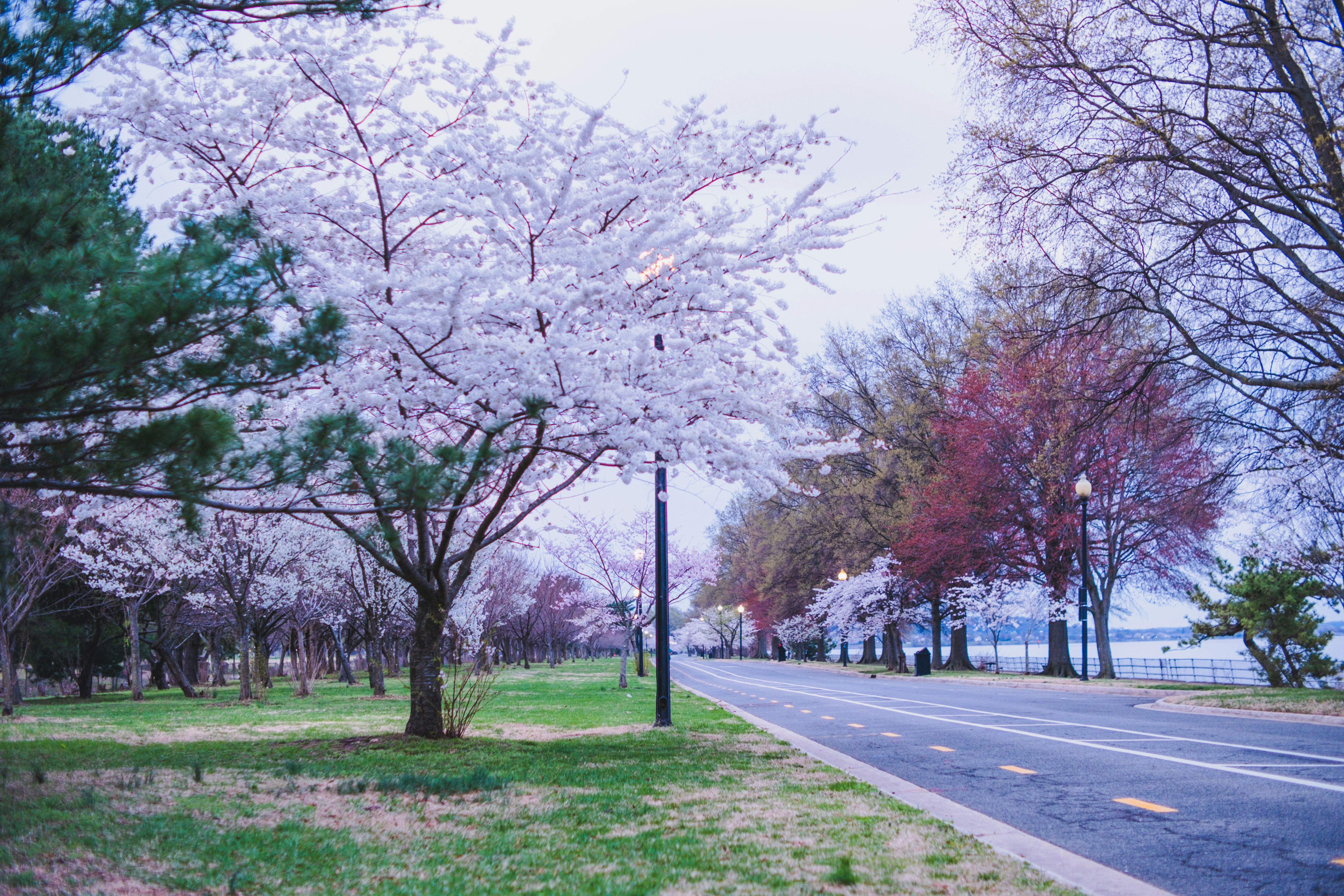 Photo by magicunsplash