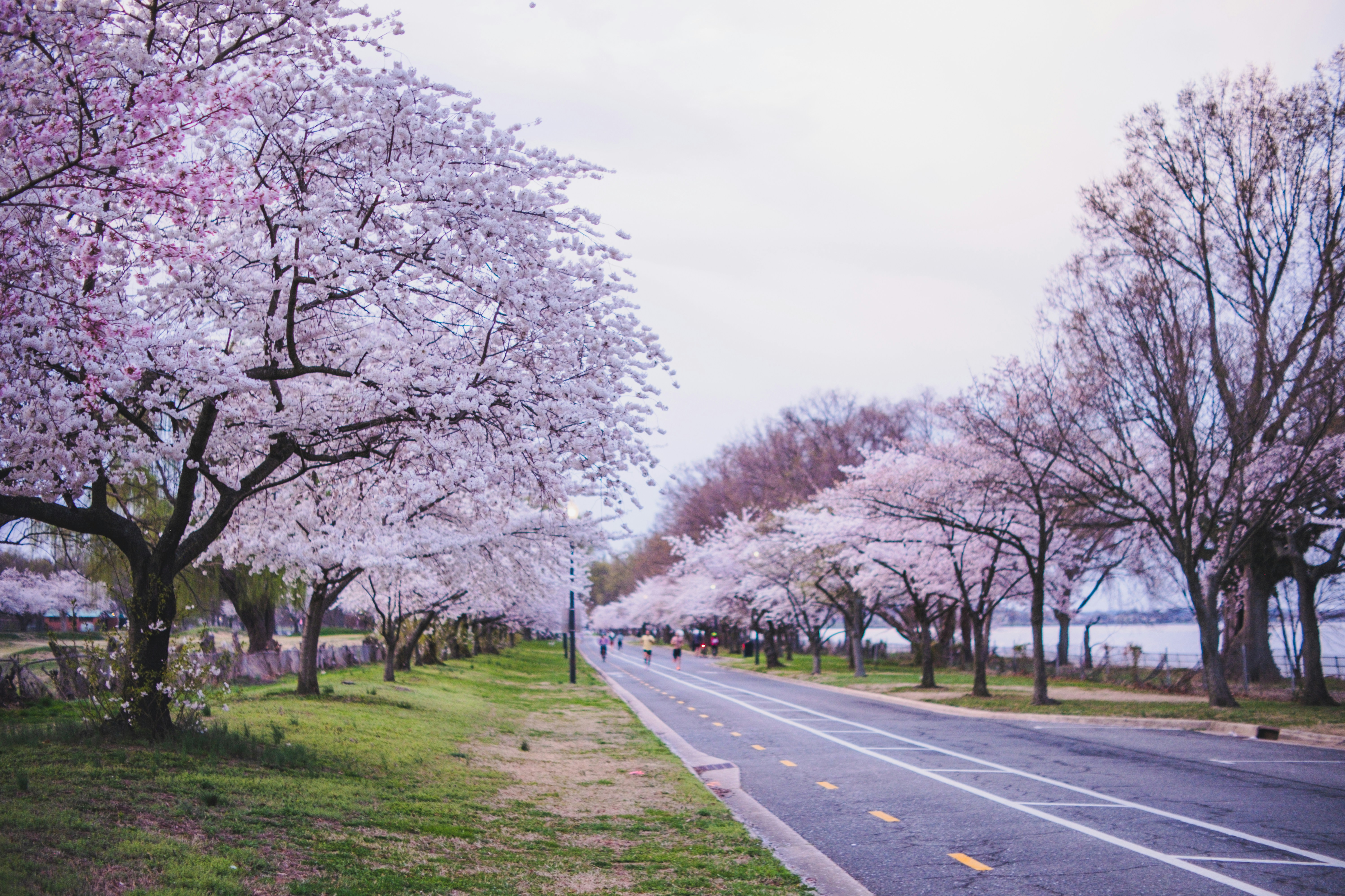 Photo by magicunsplash