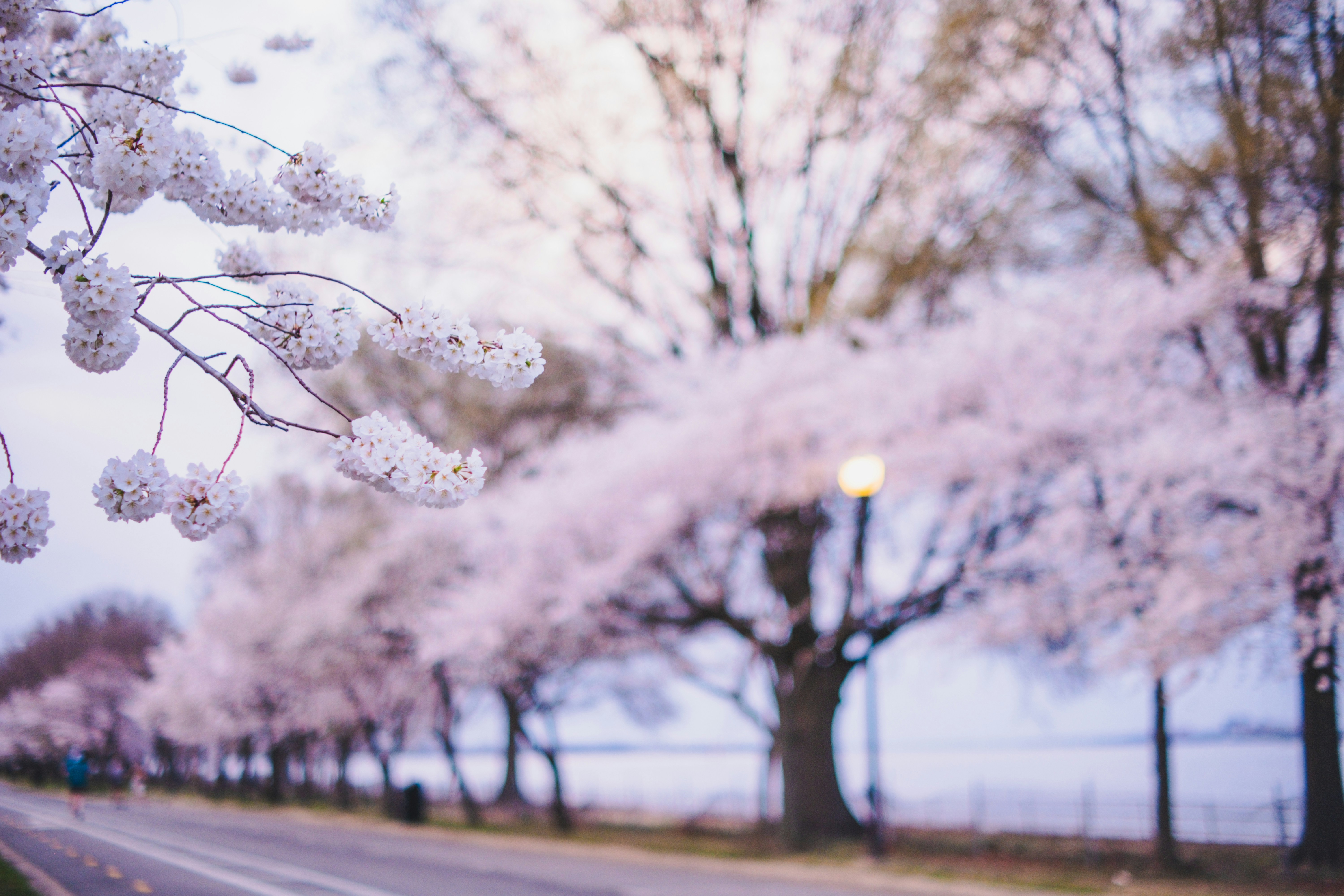 Photo by magicunsplash