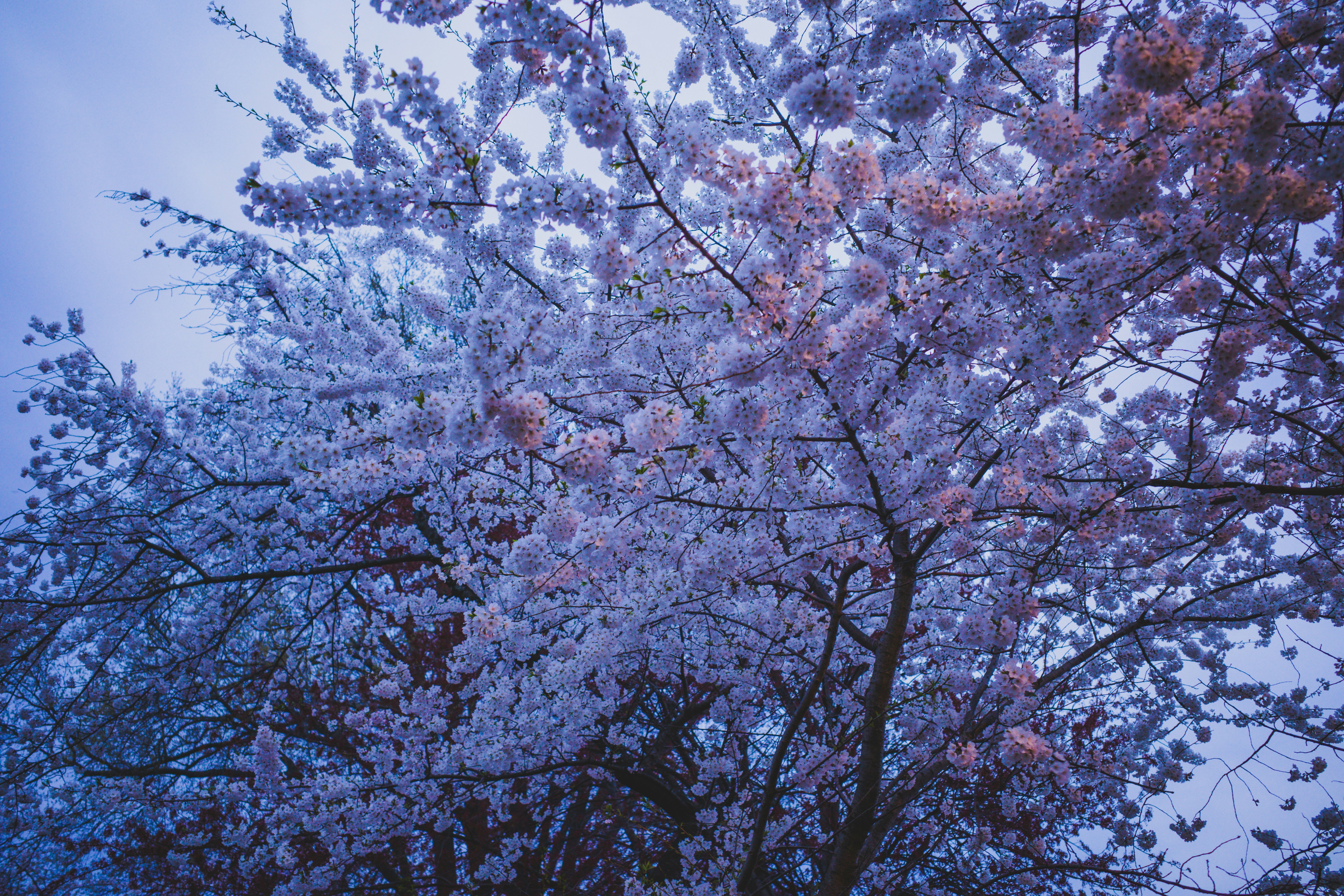 Photo by magicunsplash