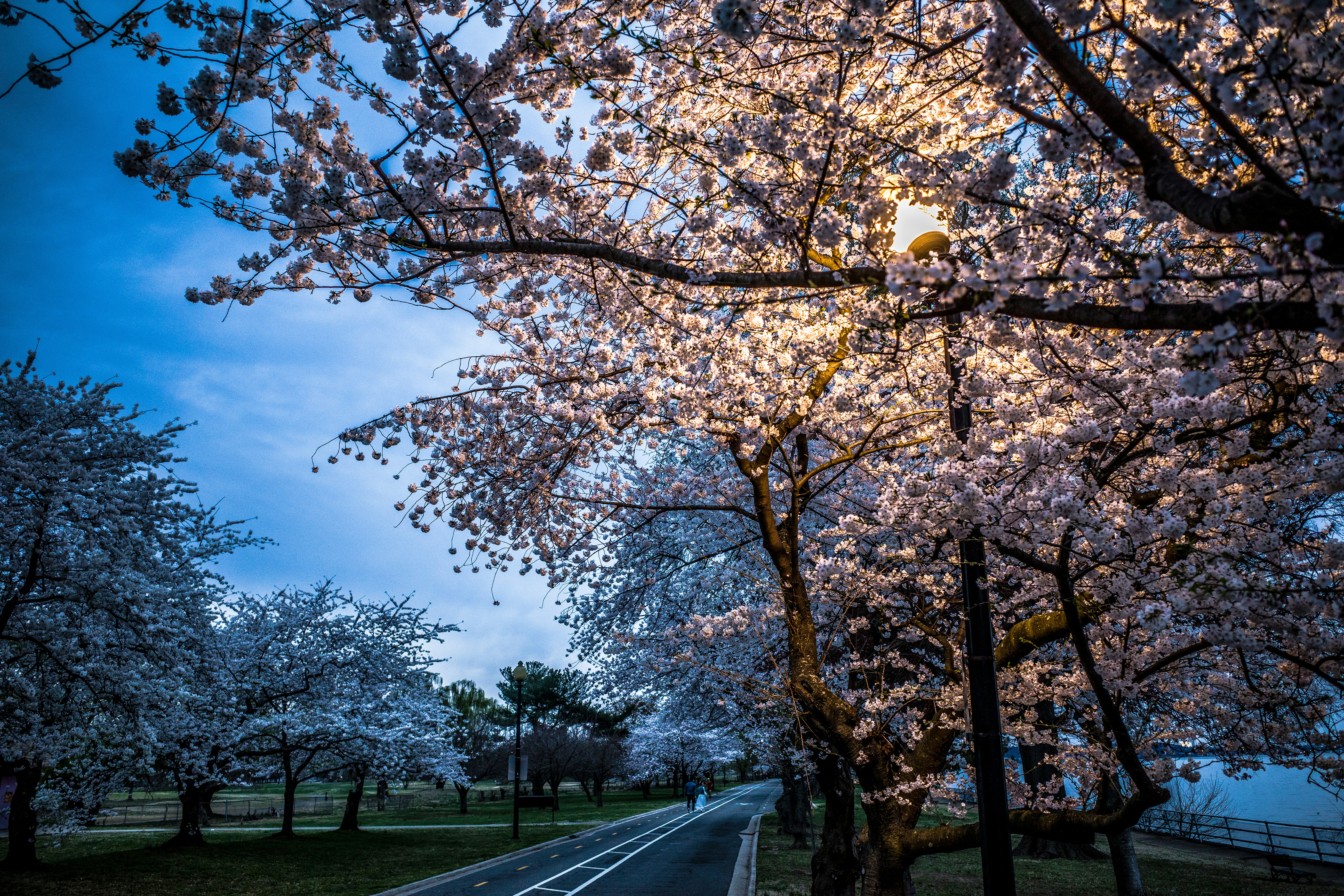 Photo by magicunsplash