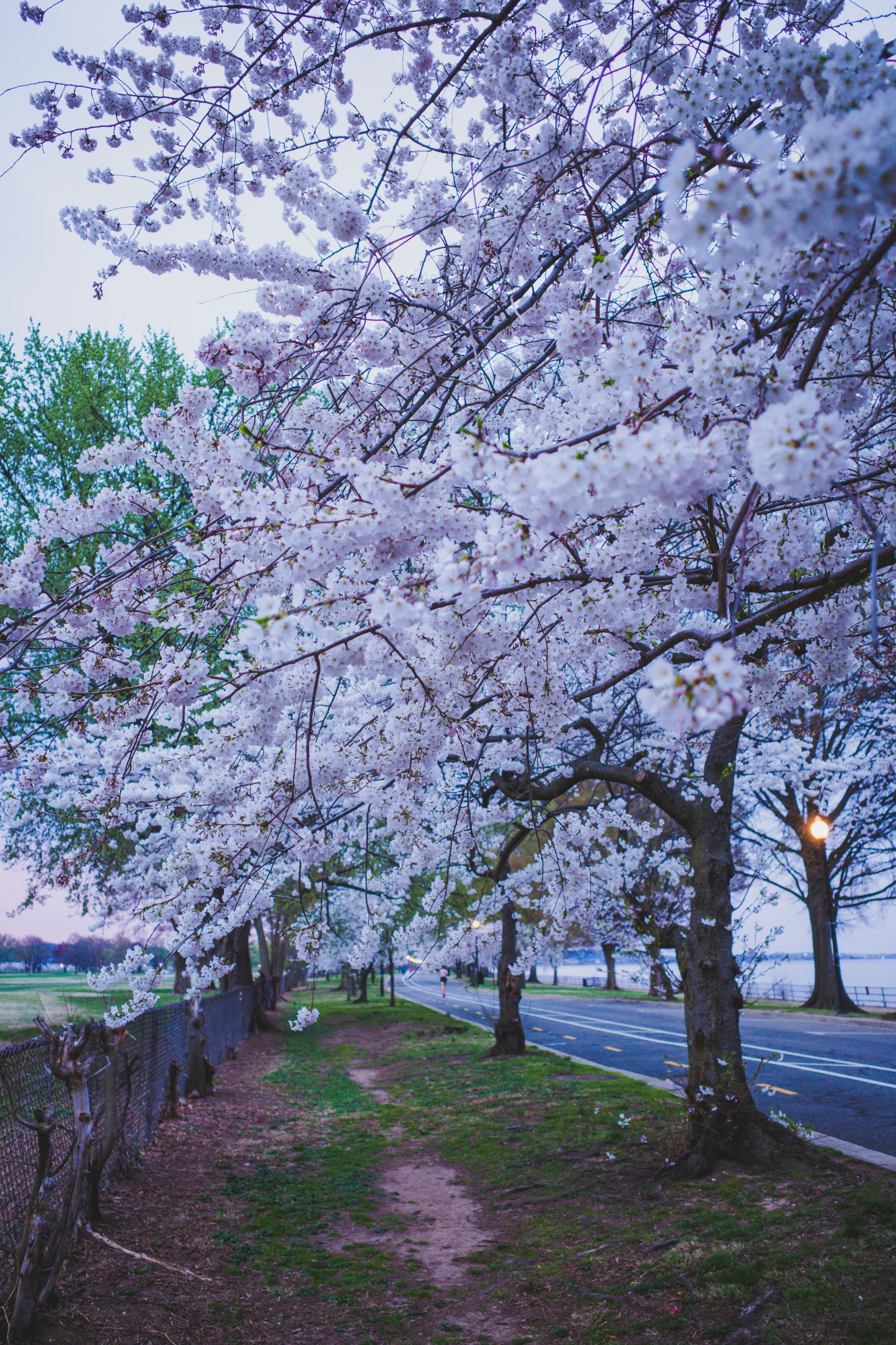 Photo by magicunsplash