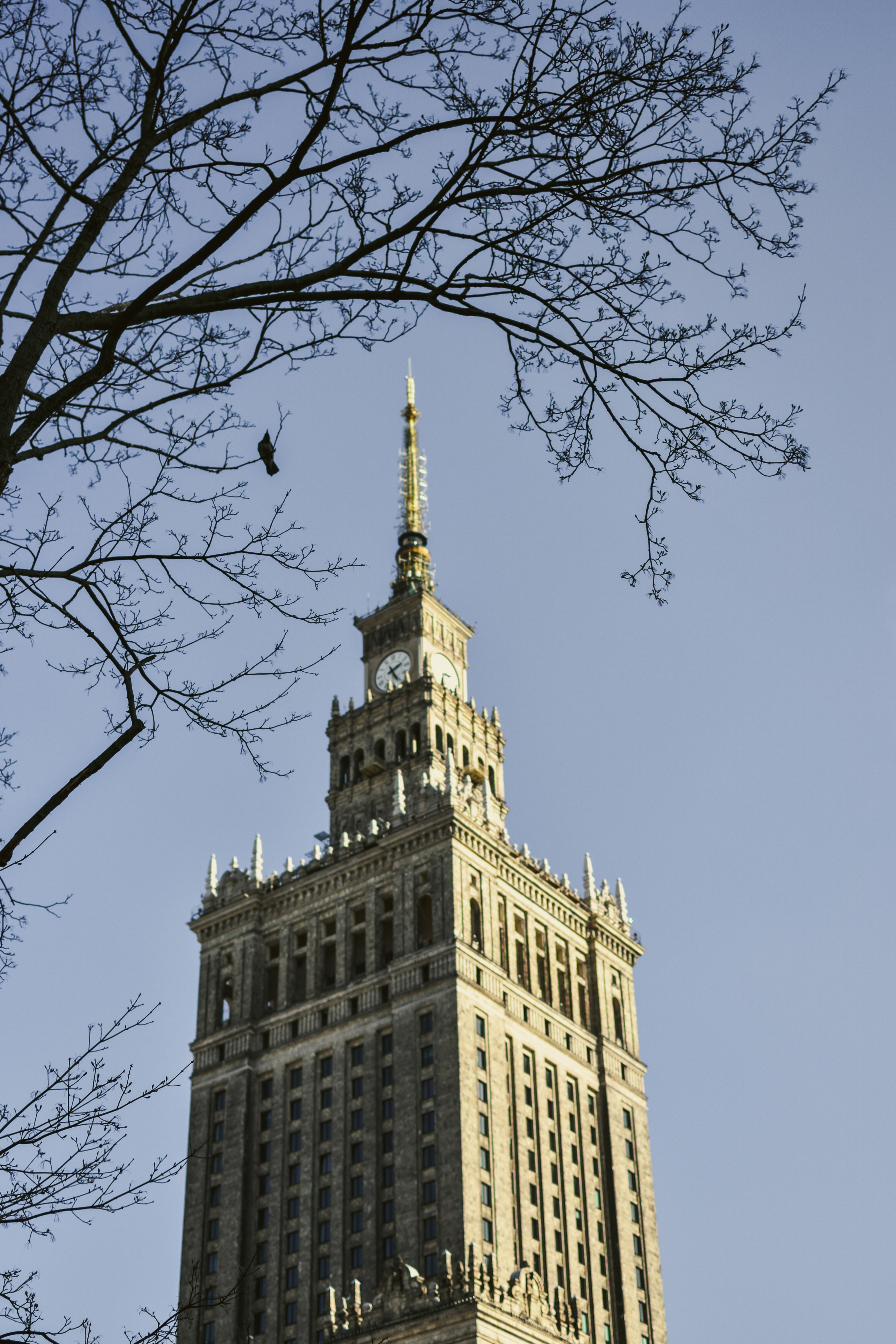 Photo by mirceadrian