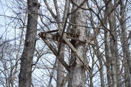 Best Climbing vs. Ladder vs. Hang-On Stands