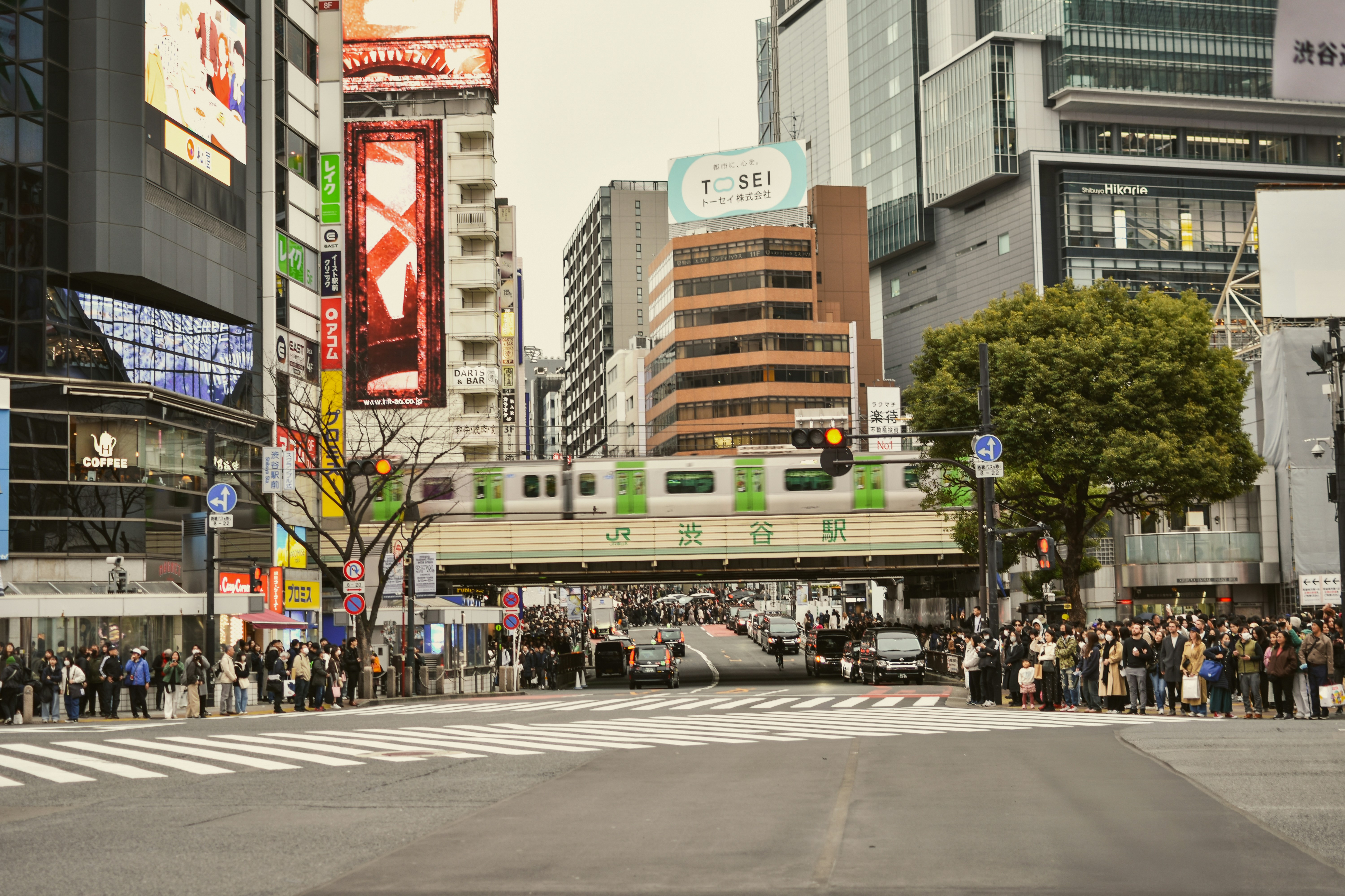 Photo by mirceadrian