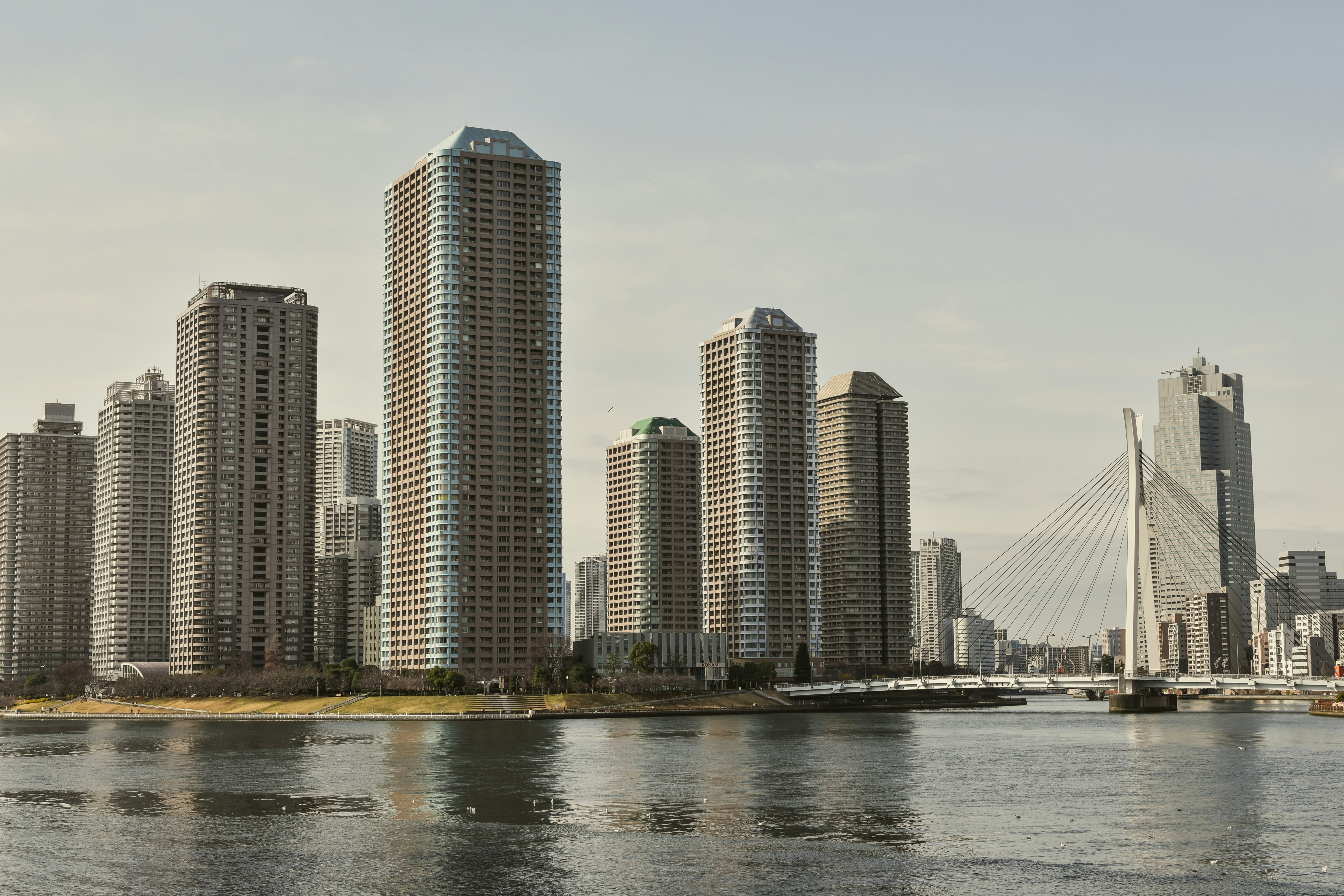 Photo by mirceadrian