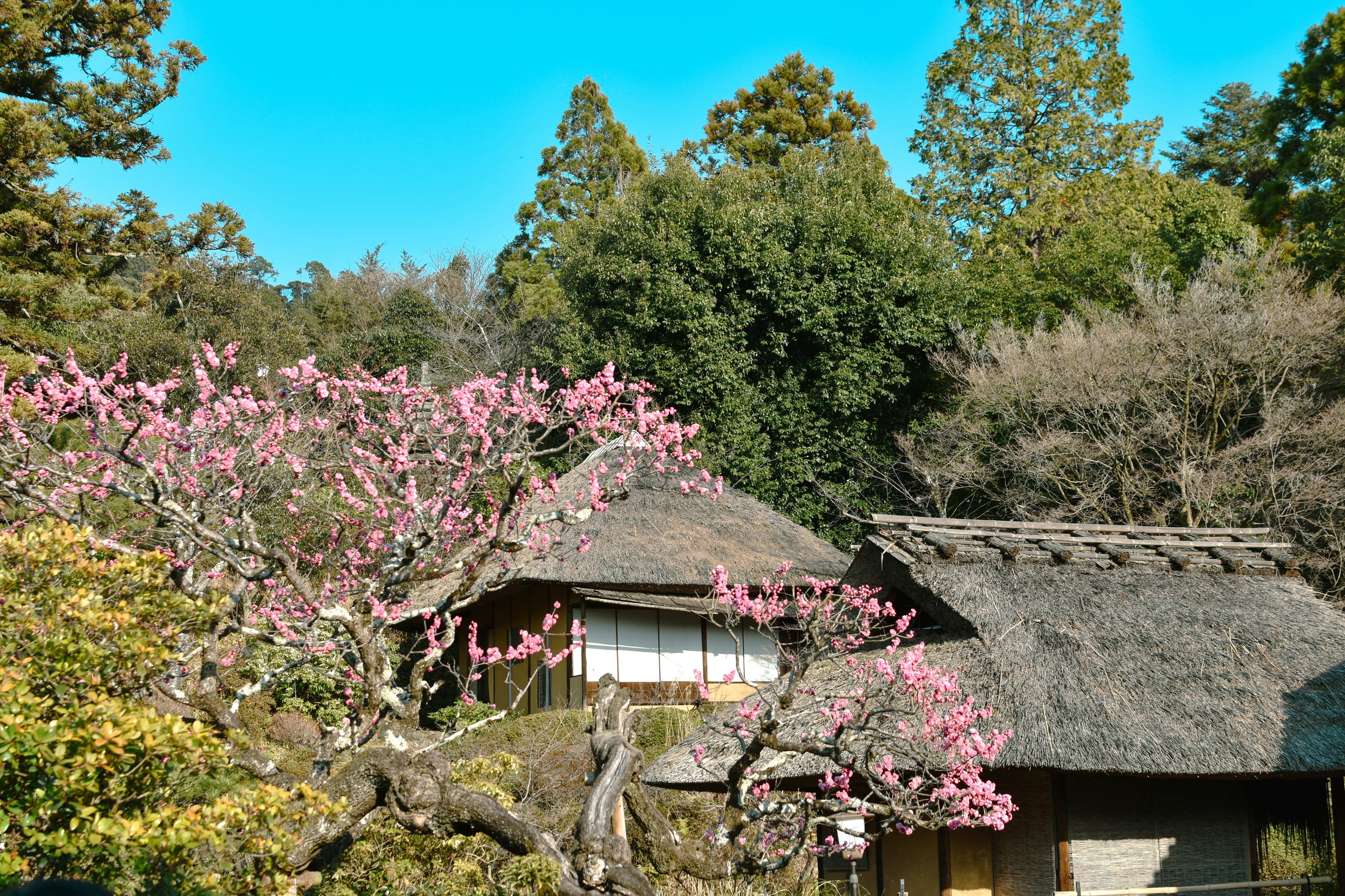 Photo by mirceadrian