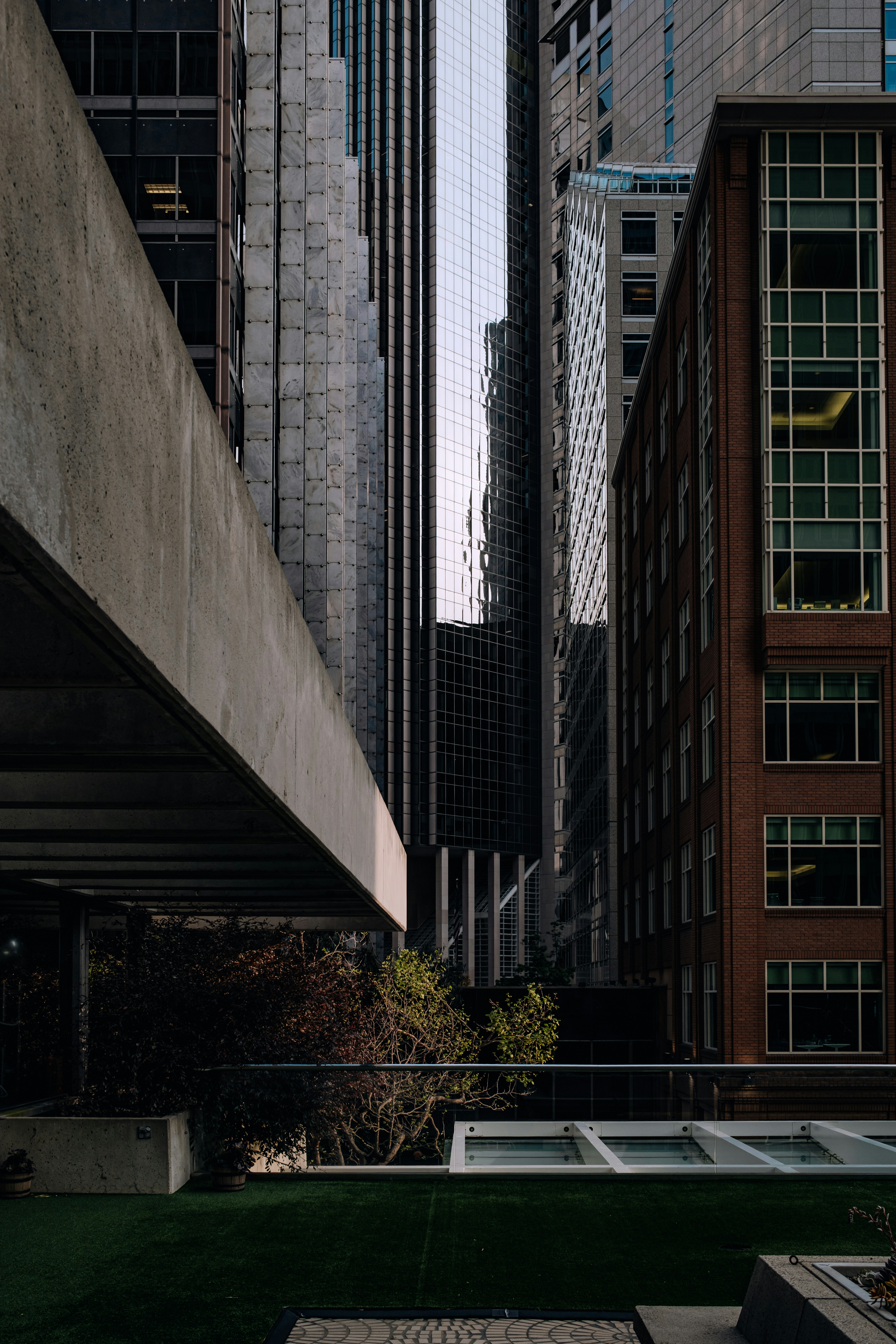 Photo by kalaniparker