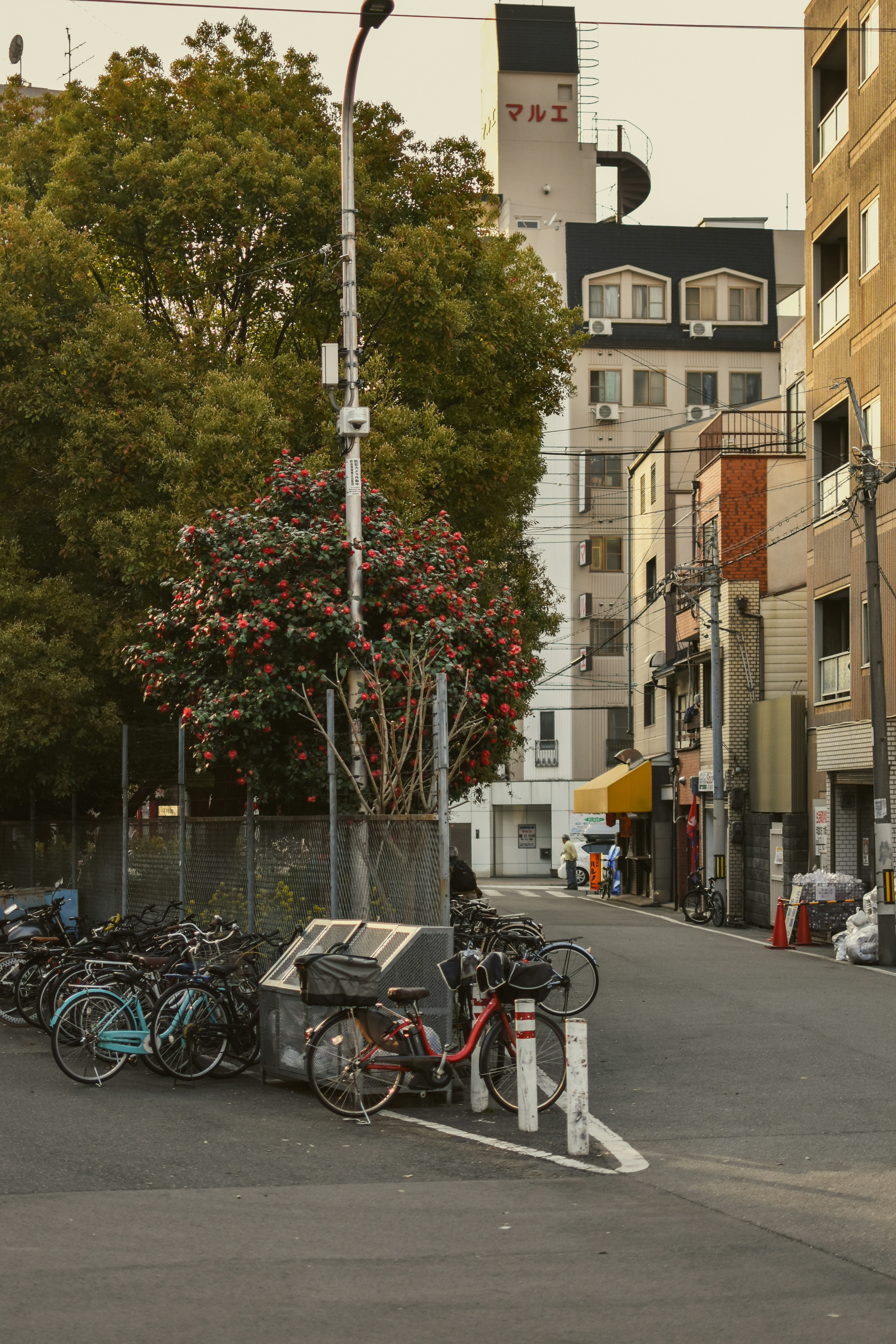 Photo by mirceadrian