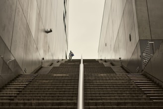 A person walks up a long, imposing staircase.
